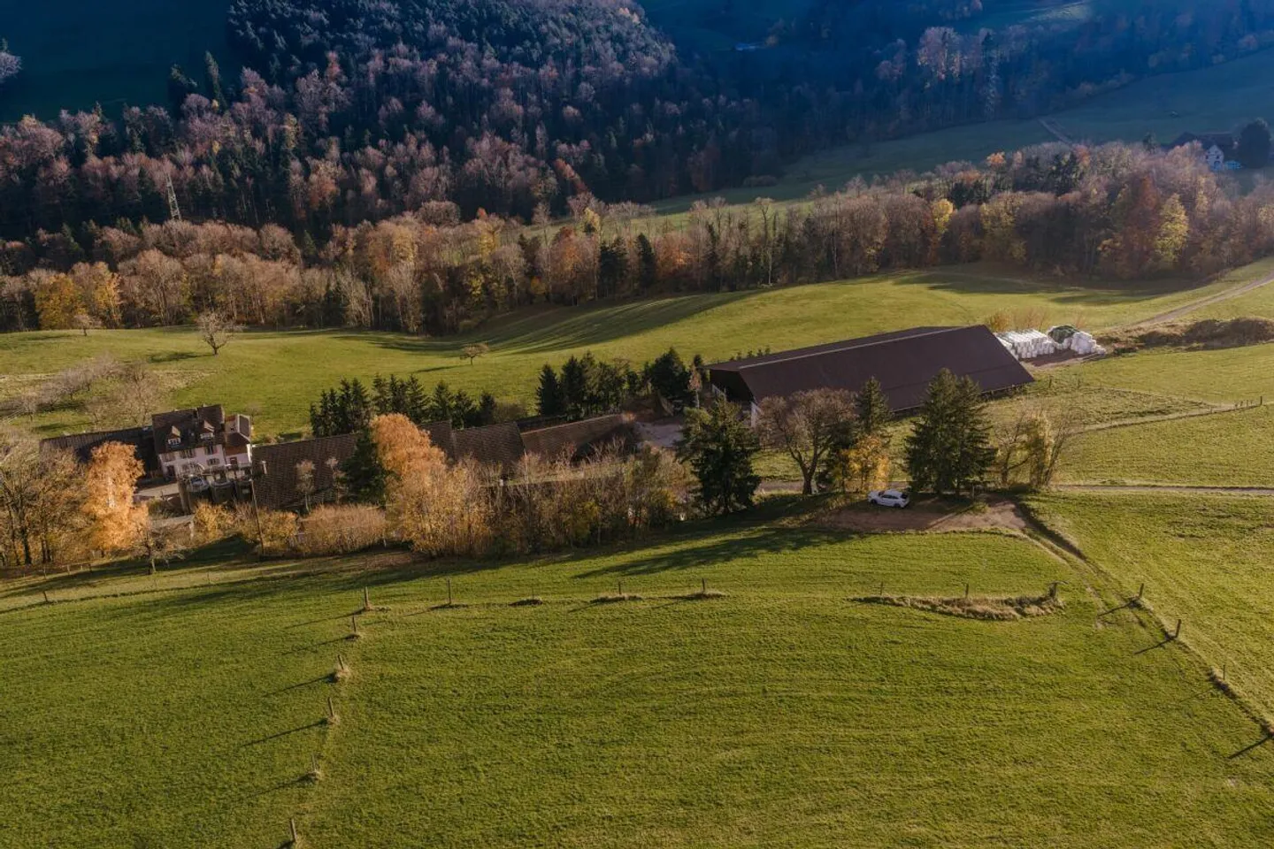 Proprietà nel pittoresco villaggio di Ifenthal - Foto 6 di 8