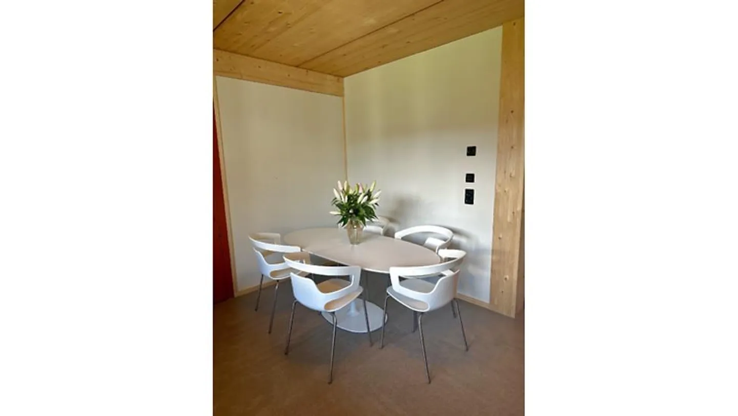 APPARTAMENTO 3½ STANZE A BASEL - ST. JOHANN, ARREDATO, TEMPORANEO - Foto 4 di 10
