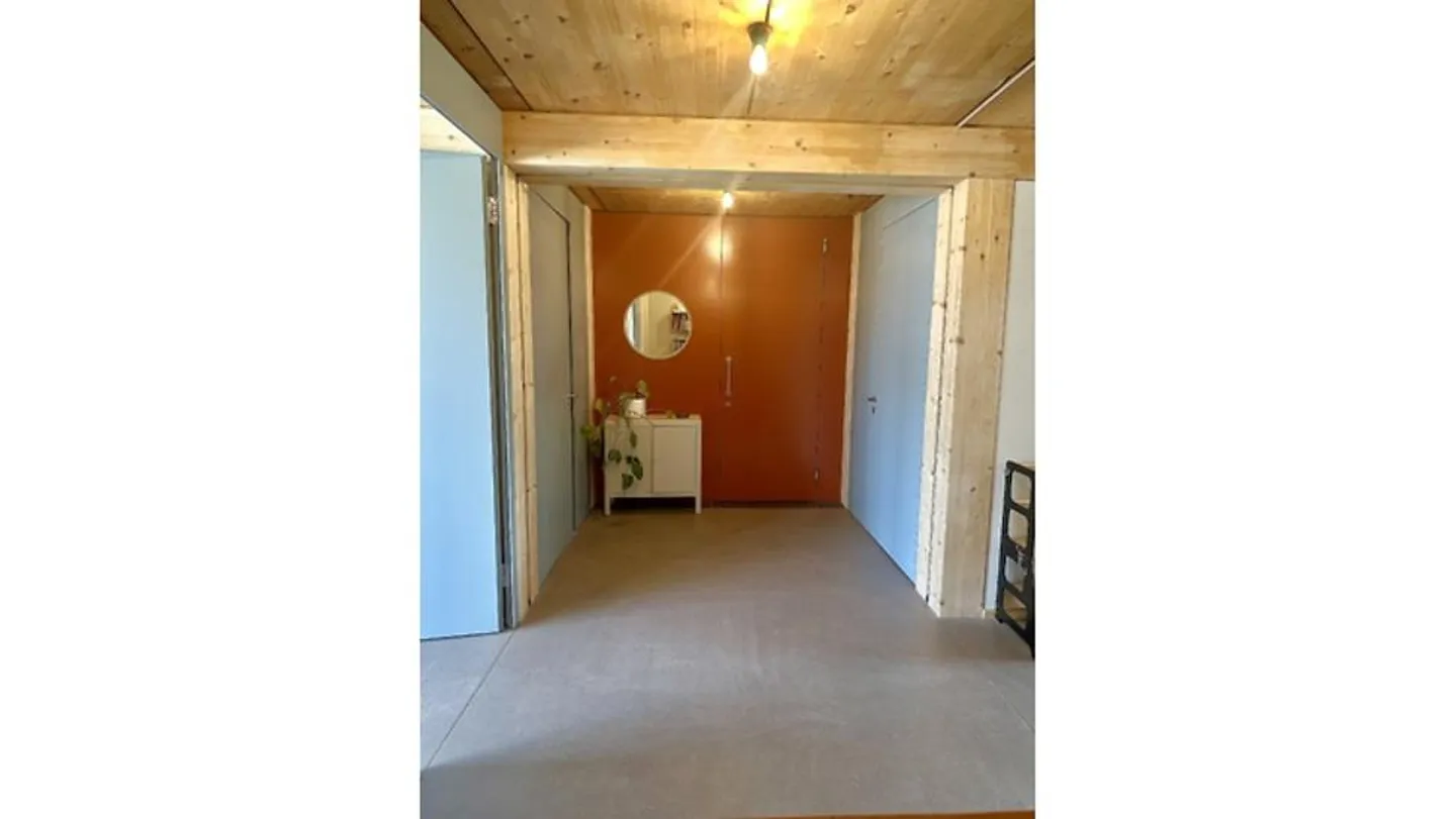 APPARTAMENTO 3½ STANZE A BASEL - ST. JOHANN, ARREDATO, TEMPORANEO - Foto 8 di 10