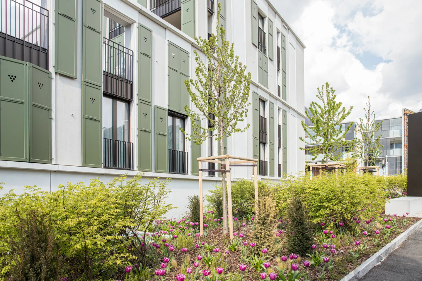 Superbe appartement moderne de 3.5 pièces avec balcon - Photo 2 of 2