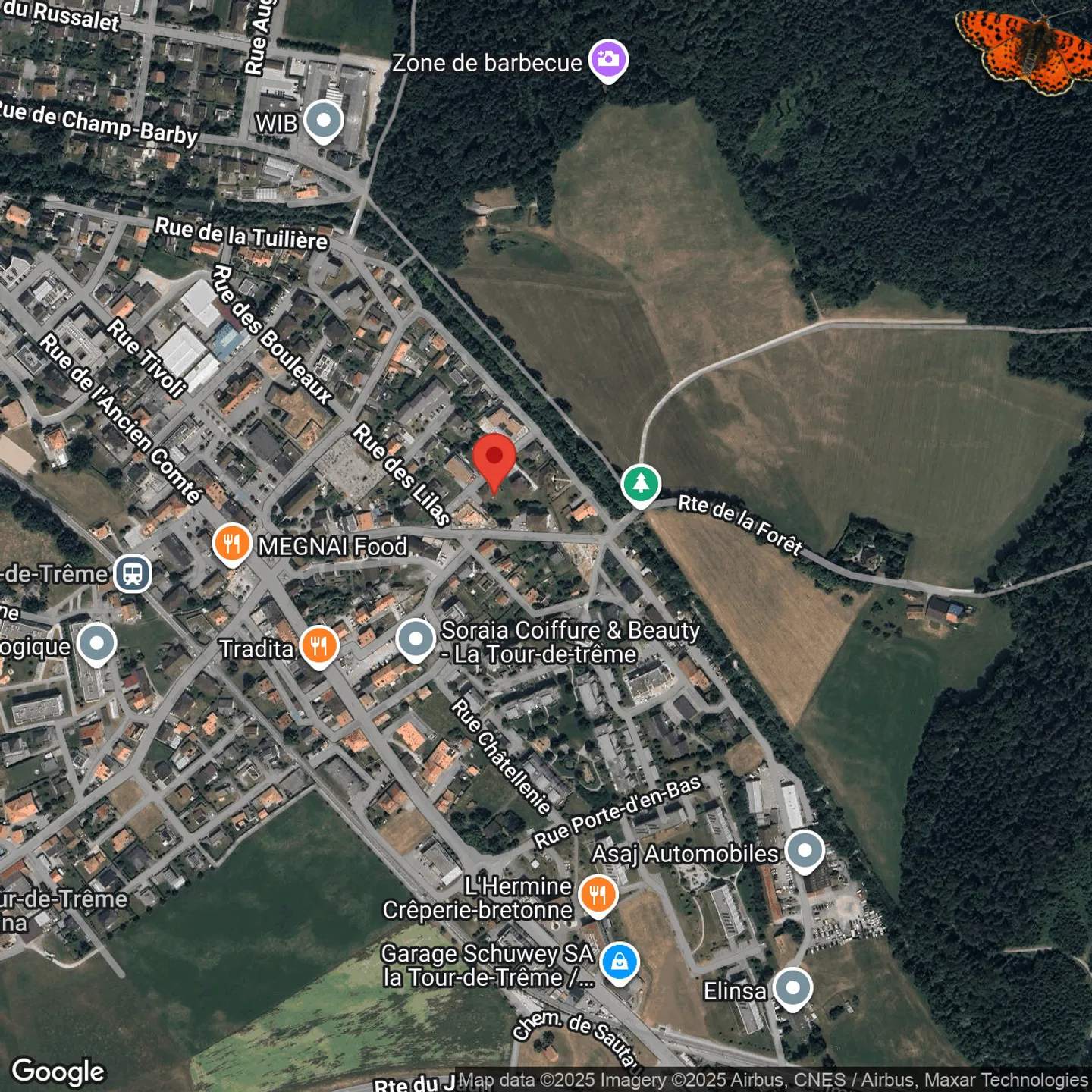 RARE! MAGNIFICA APPARTAMENTO 4 STANZE AL PIANO TERRA - Grande giardino e terrazza! - Foto 14 di 14