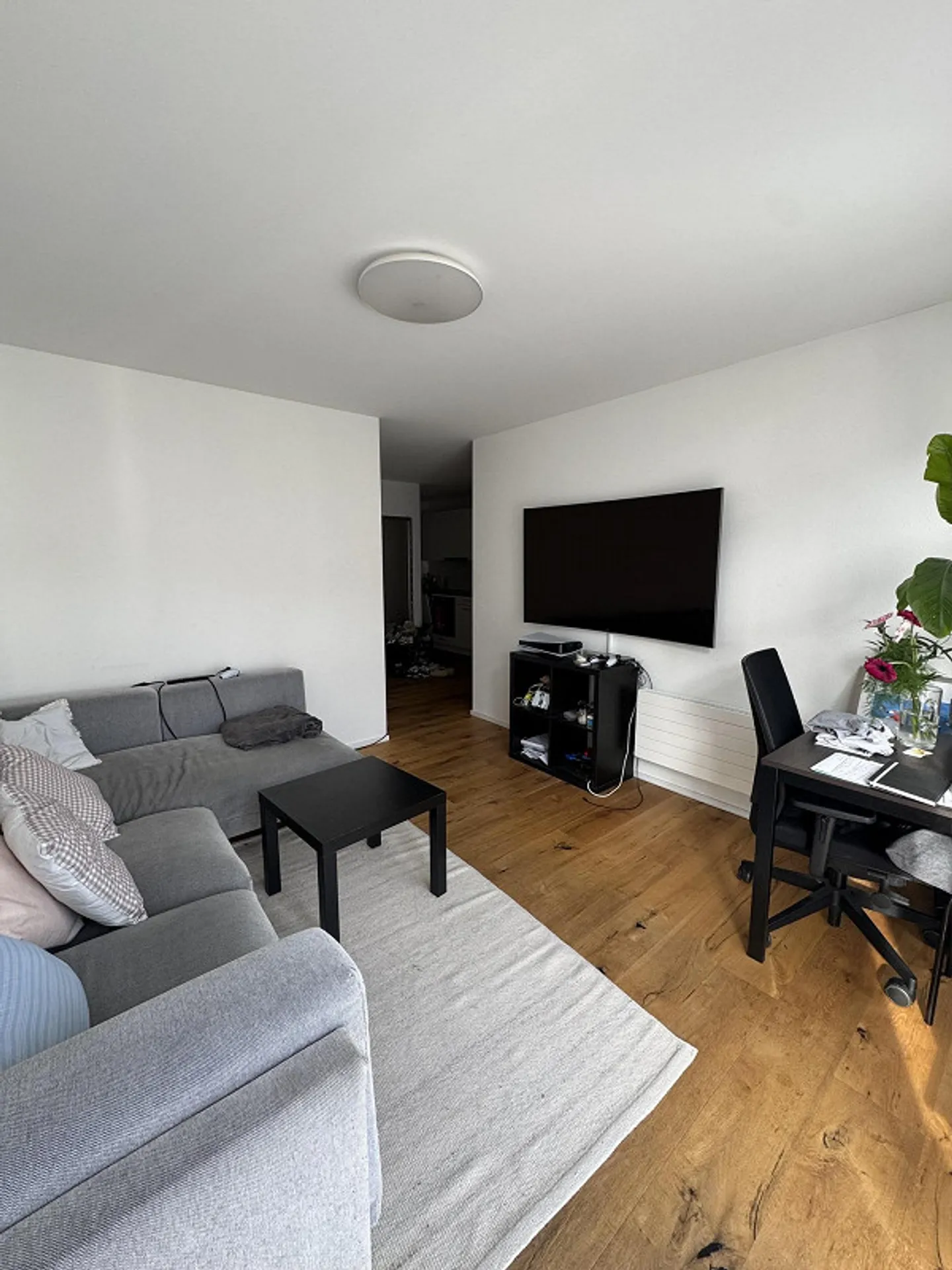 2.5 Room Apartment - Photo 2 of 6