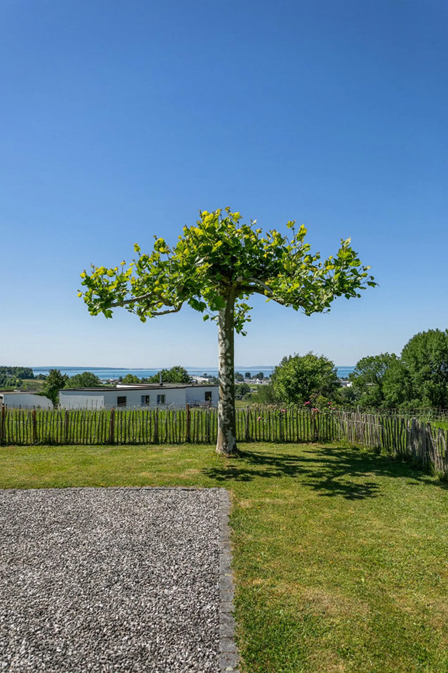 Residential idyll with nature-oriented outdoor area - Photo 4 of 5