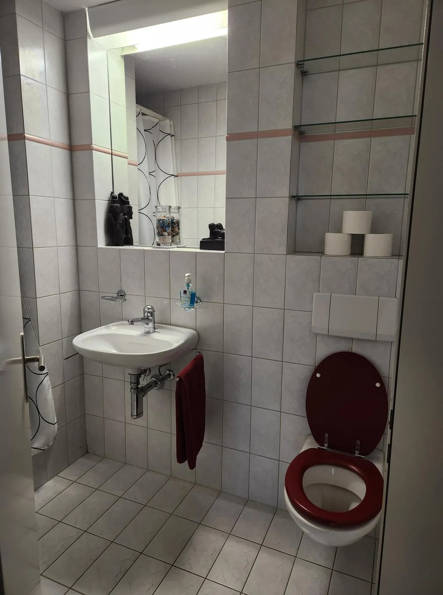 APPARTEMENT 4½ PIÈCES À KÜSSNACHT AM RIGI (SZ), MEUBLÉ, TEMPORAIRE - Photo 6 sur 10