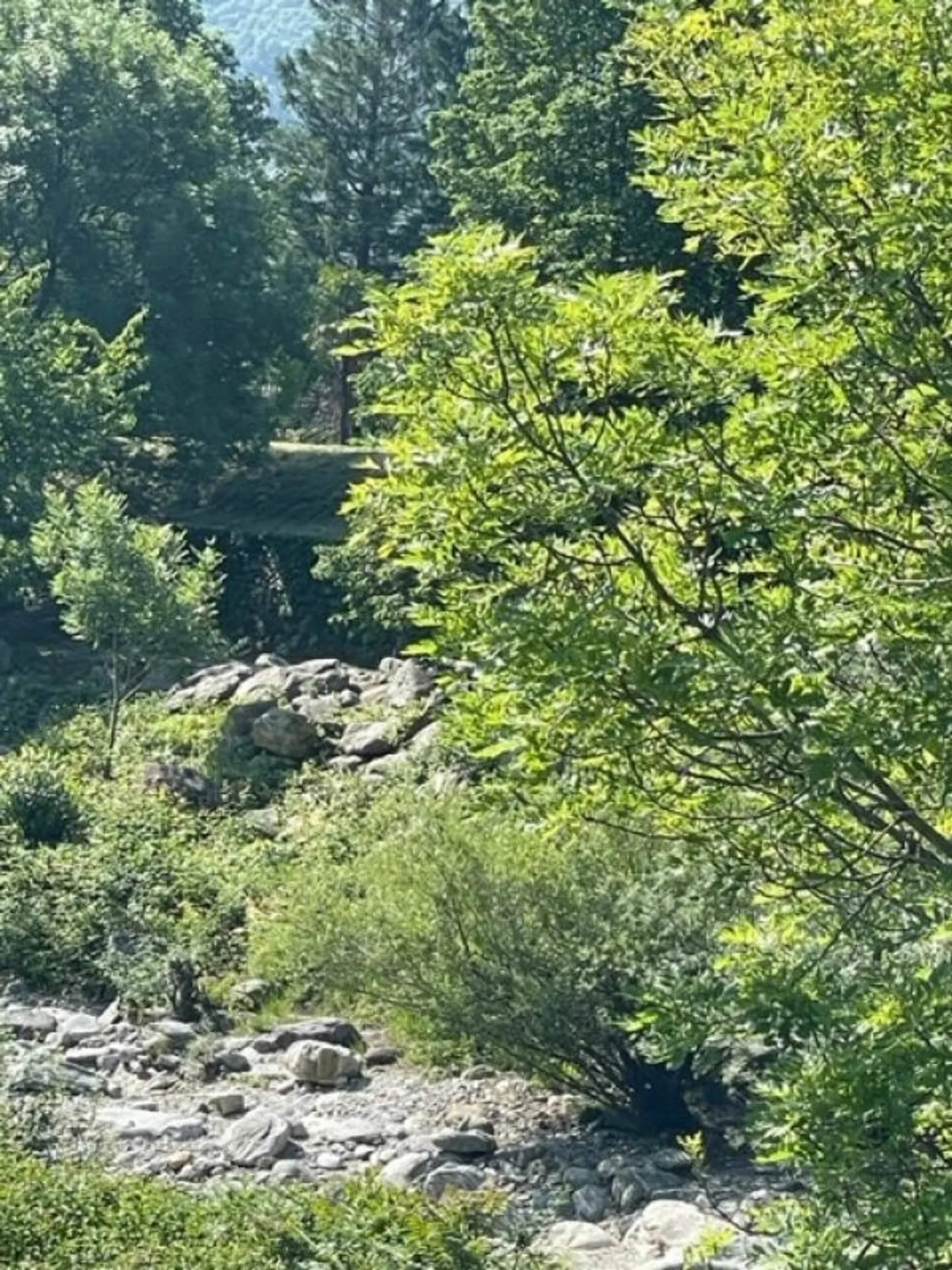 Résidence Montrose meublée - Photo 17 sur 17