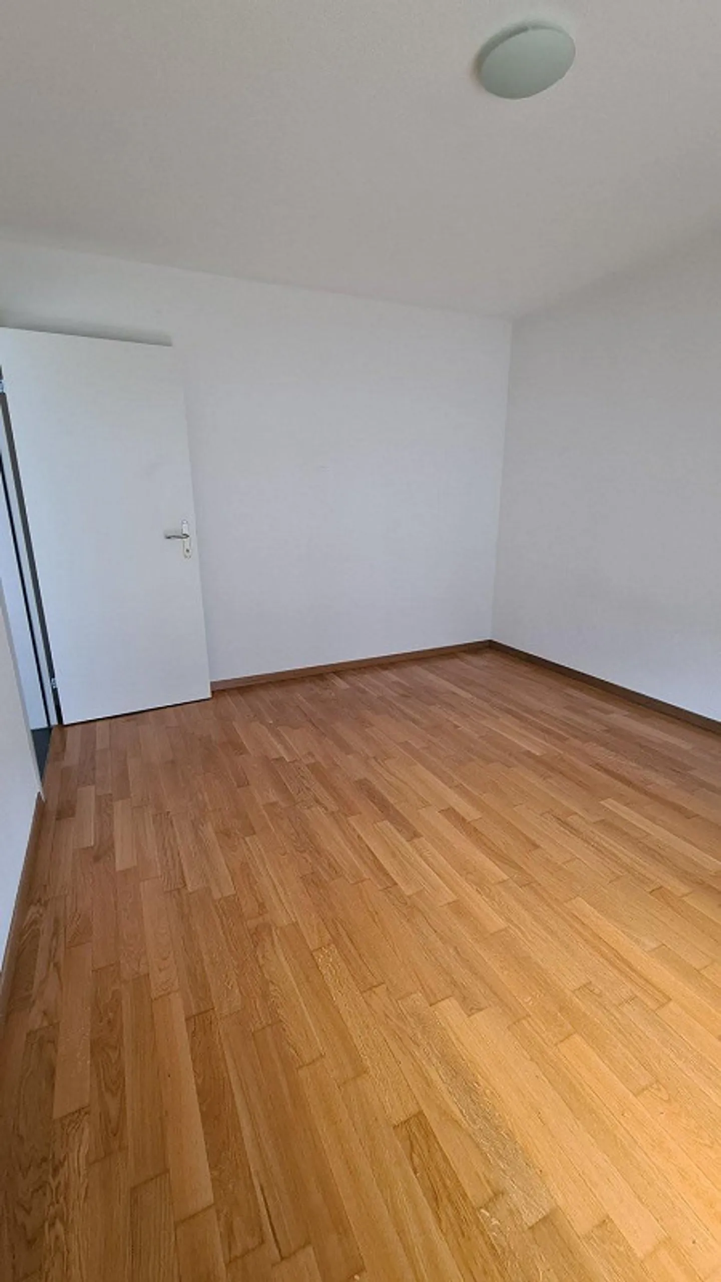 Modern 3.5 Room Apartment - Photo 3 of 13
