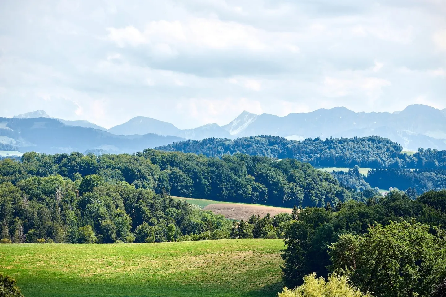 Appartamento spazioso e luminoso di 3.5 stanze - Foto 9 di 9