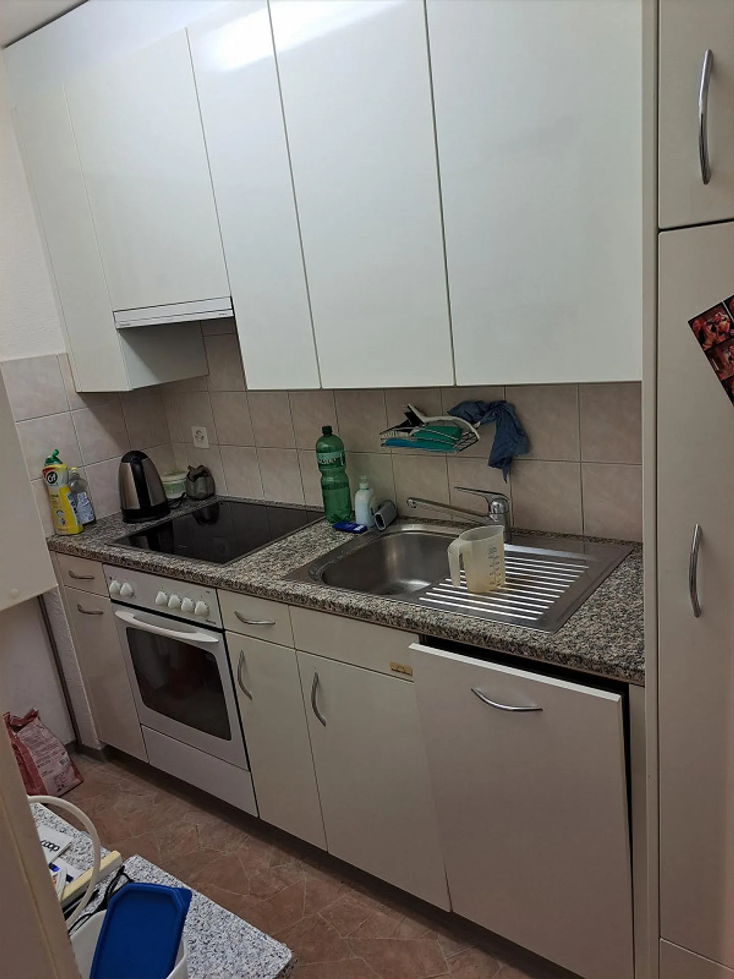 Quiet Living in the Heart of Chur - Photo 3 of 7