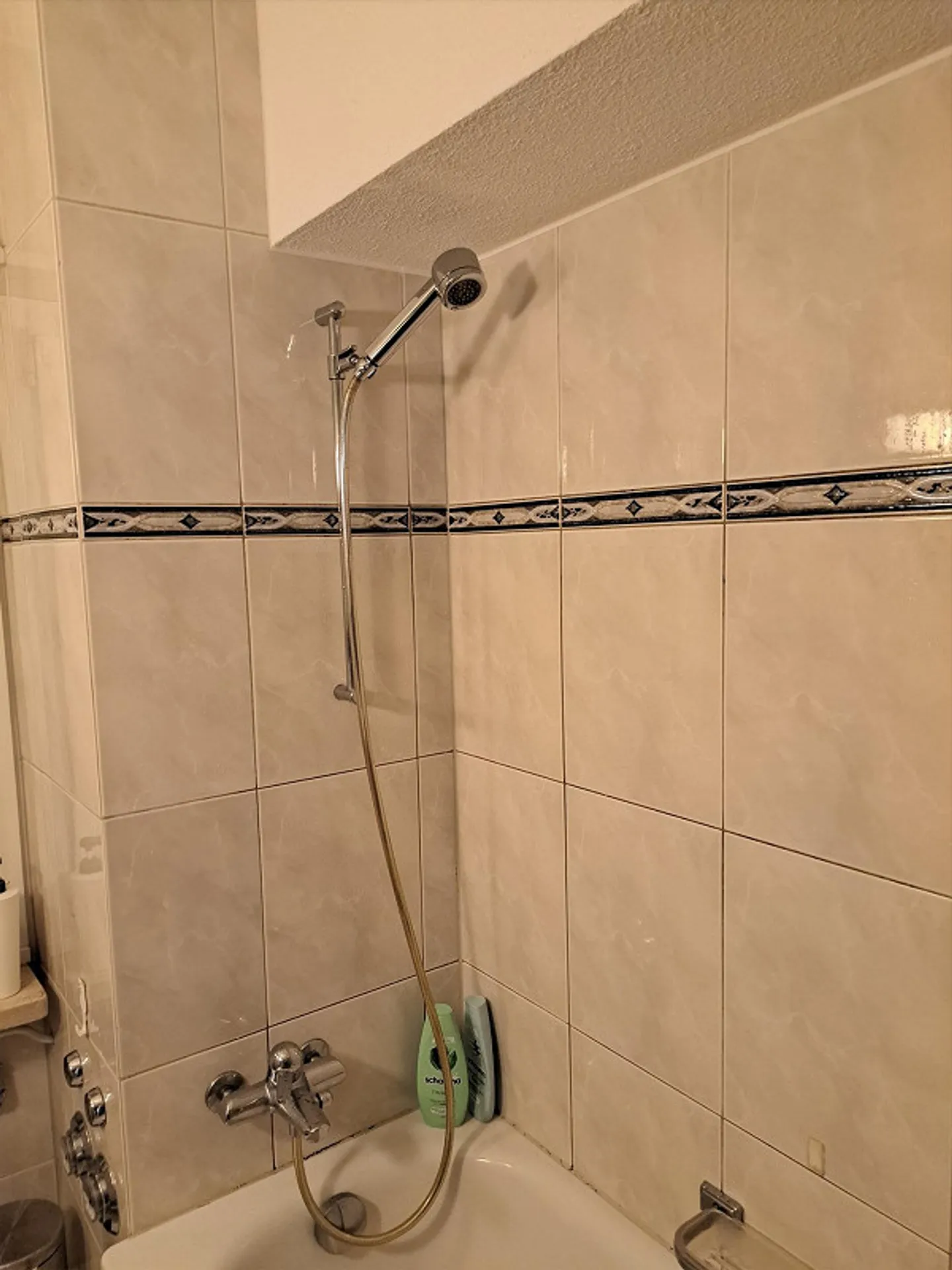 Quiet Living in the Heart of Chur - Photo 4 of 7