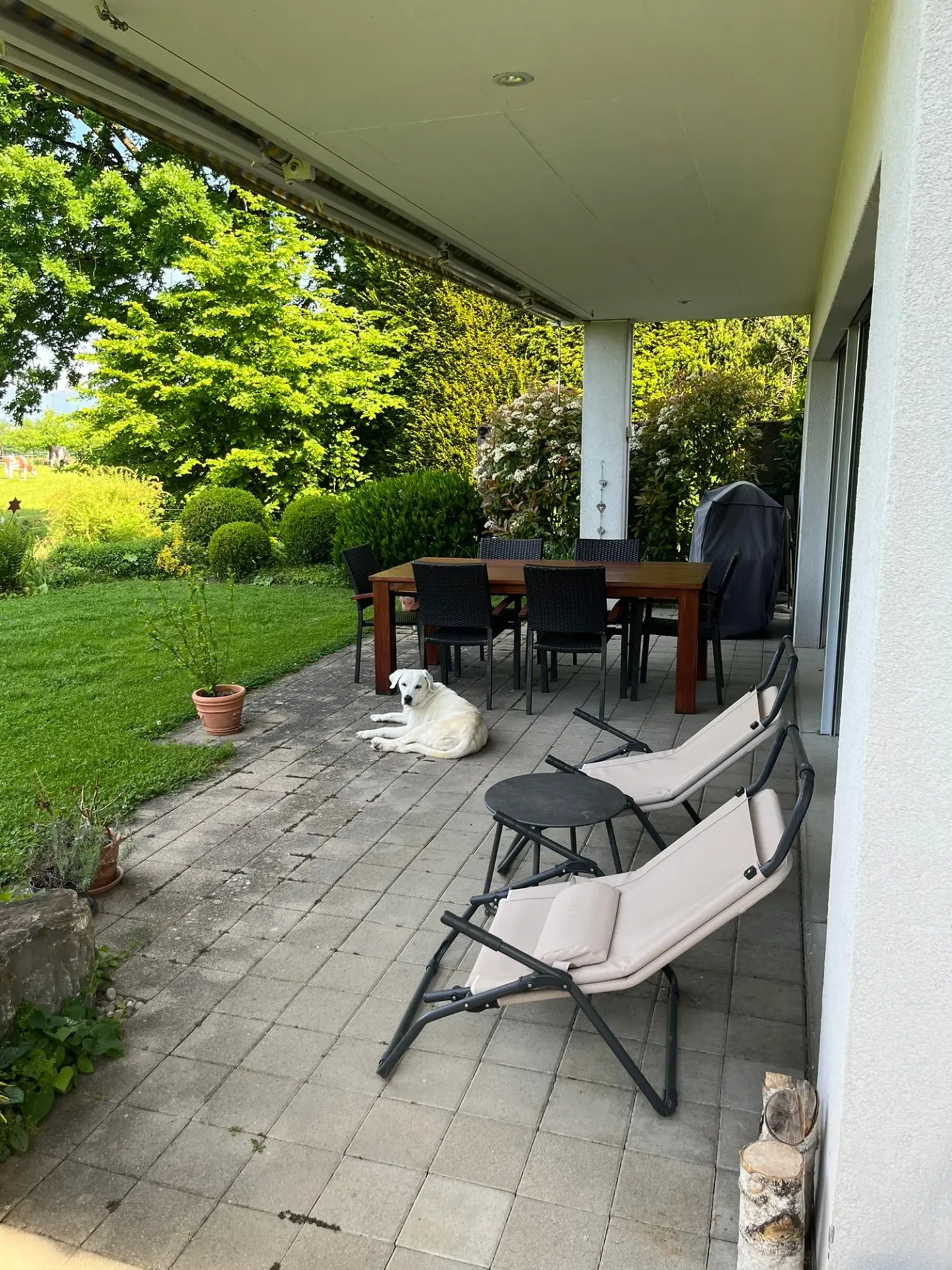 Traumhaftes Einfamilienhaus in ruhiger Lage - Foto 5 von 32