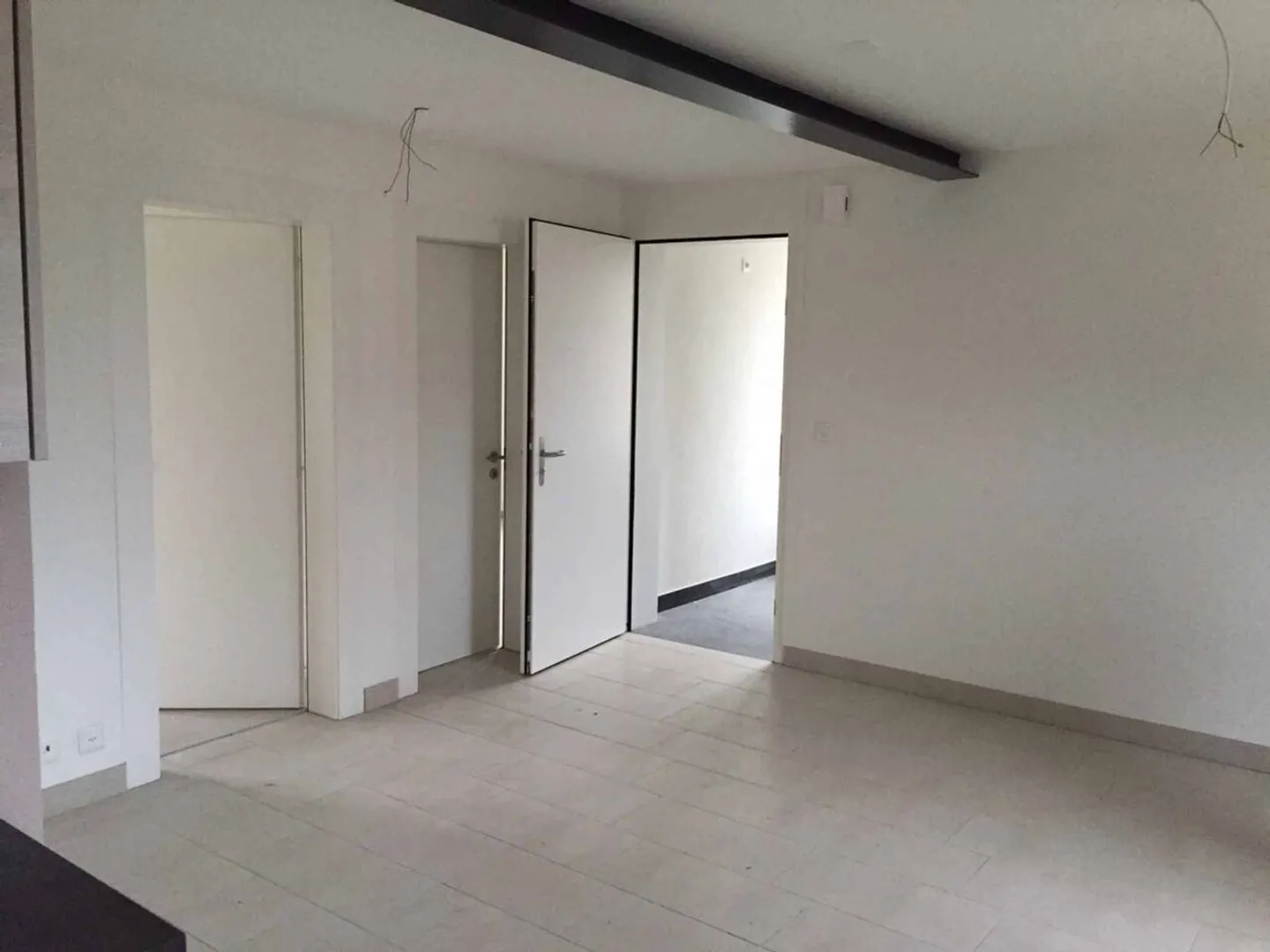 Incantevole appartamento di 3 stanze con carattere, a pochi passi dal lago - Foto 4 di 10