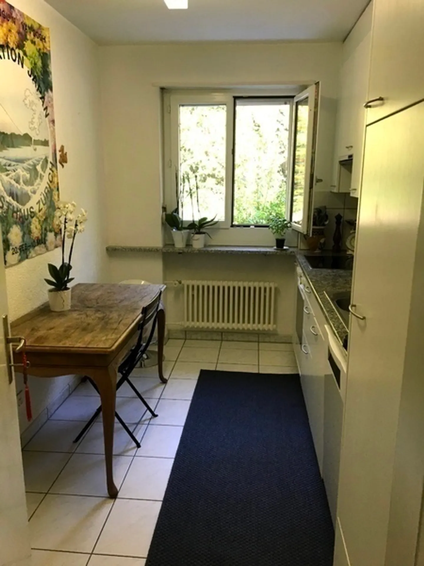 SOLO PERSONA SINGOLA APPARTAMENTO 2.5 STANZE A ZURIGO - DISTRETTO 11 AFFOLTERN, ARREDATO - Foto 4 di 10