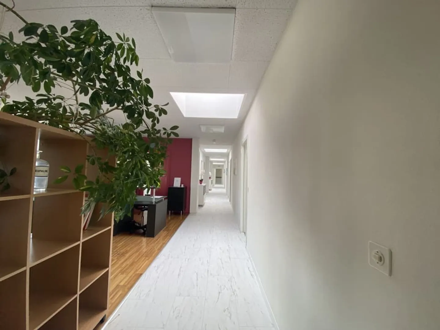 Bureau spacieux à Neuchâtel - Photo 7 sur 8