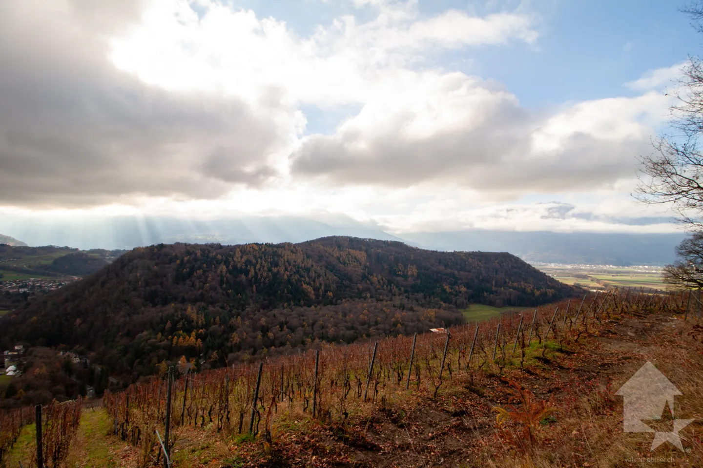 Atypical chalet of 140 m2 on a plot of 19,881 m2 - Photo 3 of 51