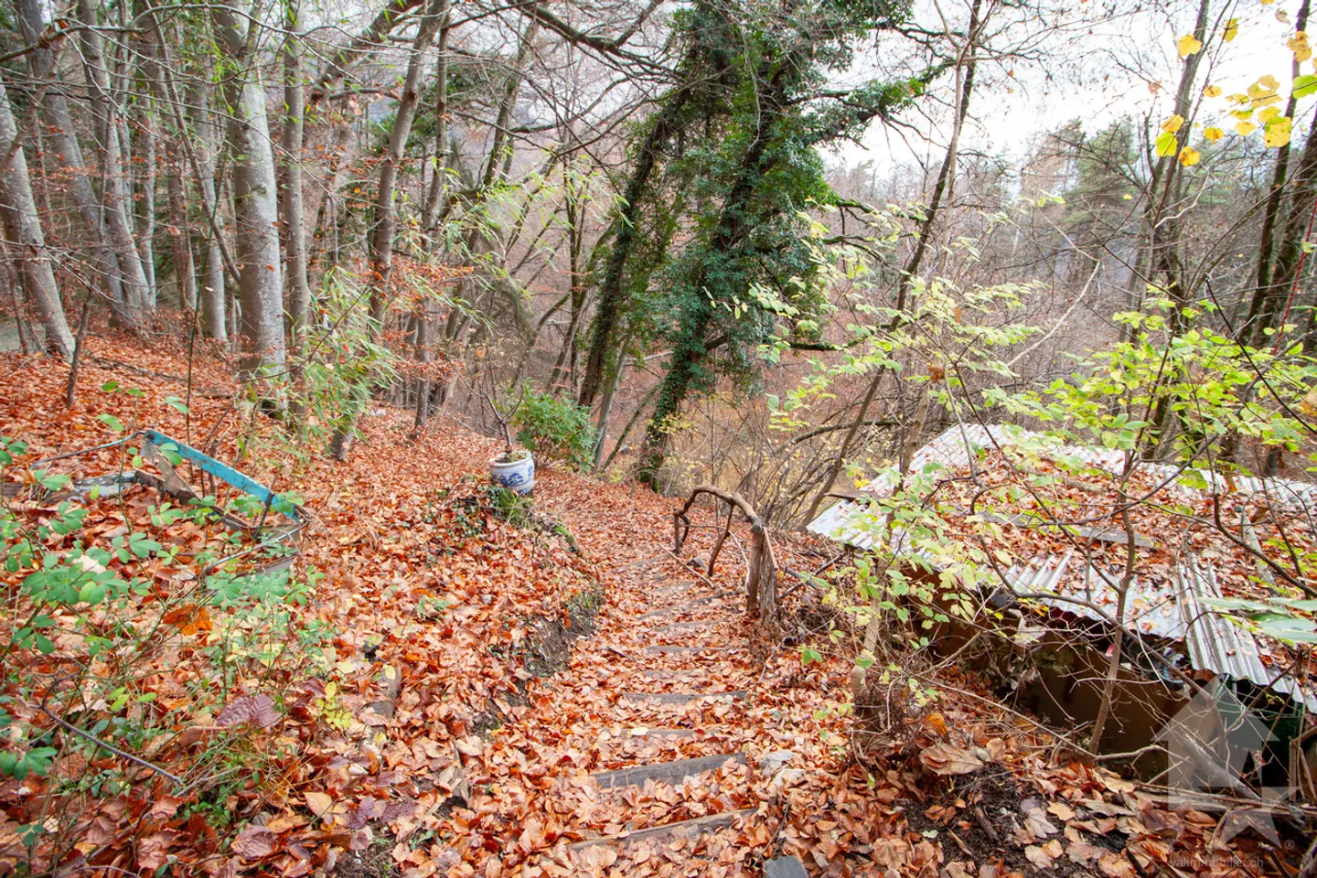 Atypical chalet of 140 m2 on a plot of 19,881 m2 - Photo 41 of 51