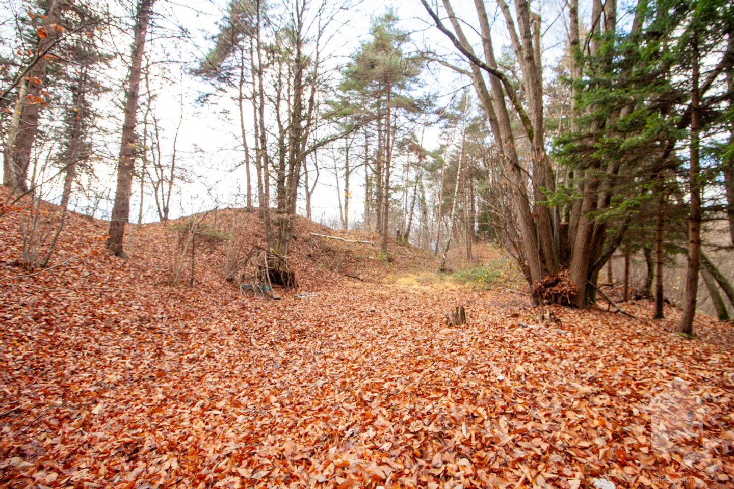 Atypical chalet of 140 m2 on a plot of 19,881 m2 - Photo 45 of 51