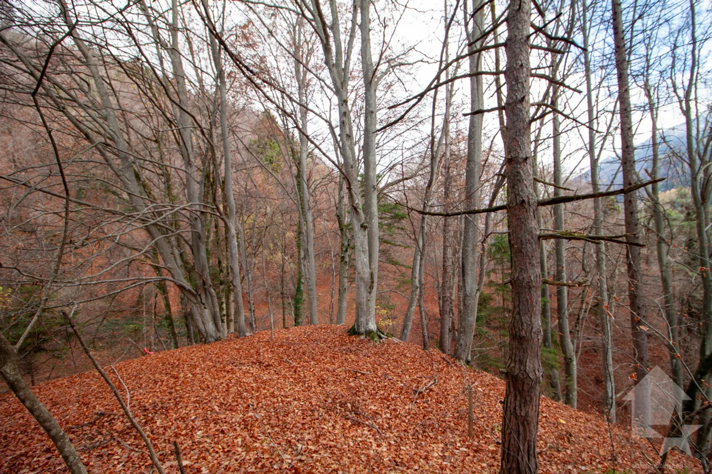 Atypical chalet of 140 m2 on a plot of 19,881 m2 - Photo 46 of 51