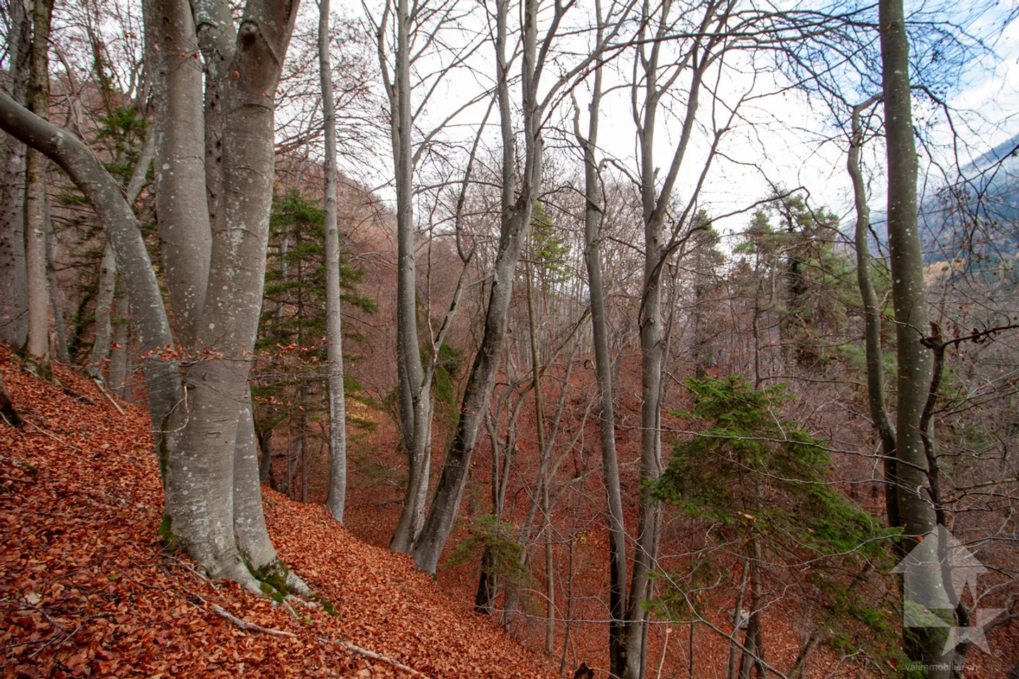 Atypical chalet of 140 m2 on a plot of 19,881 m2 - Photo 47 of 51
