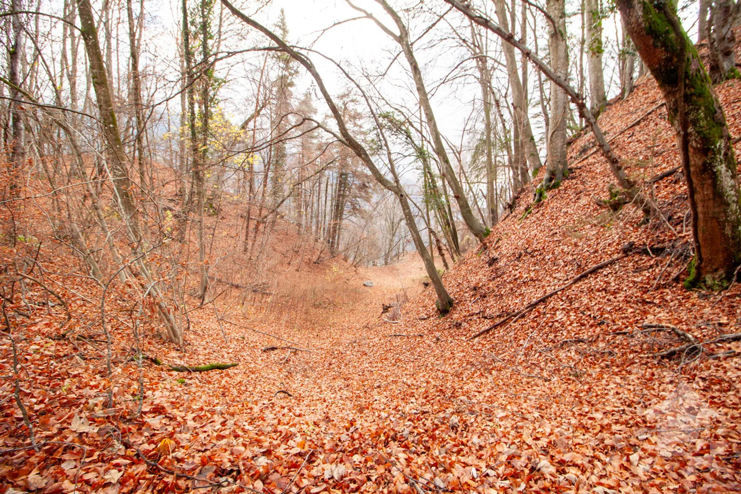 Atypical chalet of 140 m2 on a plot of 19,881 m2 - Photo 48 of 51