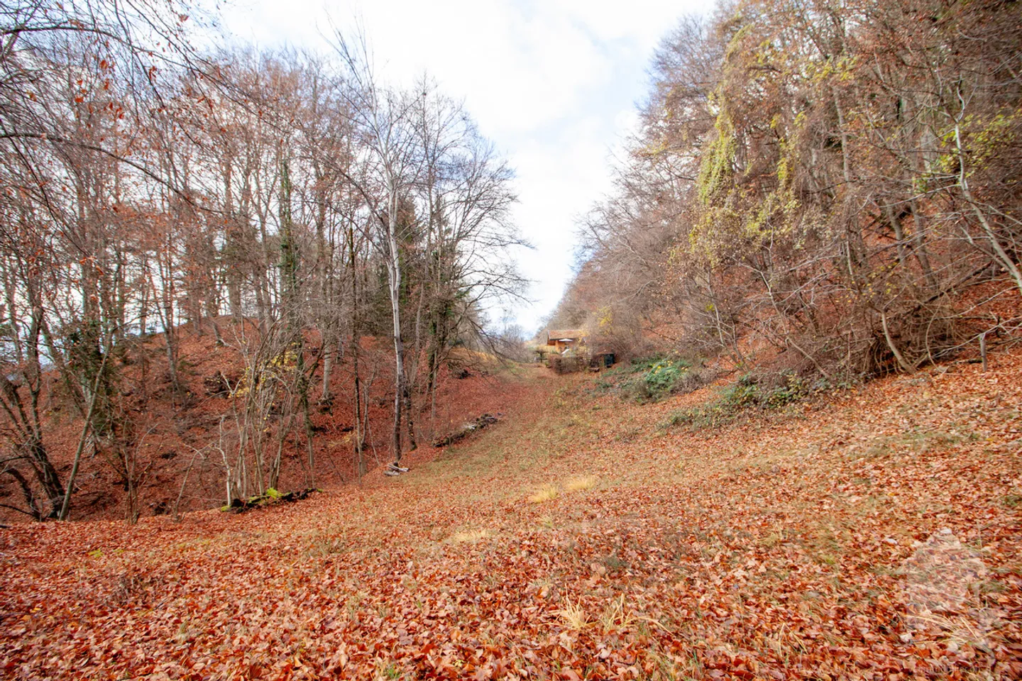 Atypical chalet of 140 m2 on a plot of 19,881 m2 - Photo 49 of 51