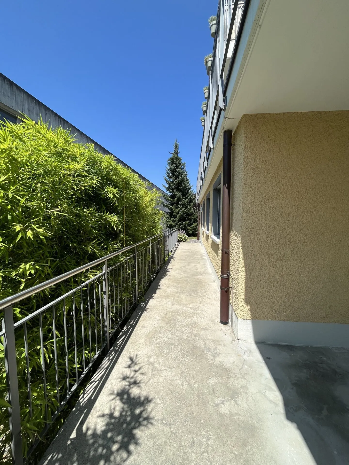 Moderno appartamento di 4,5 stanze al piano terra - Foto 11 di 11