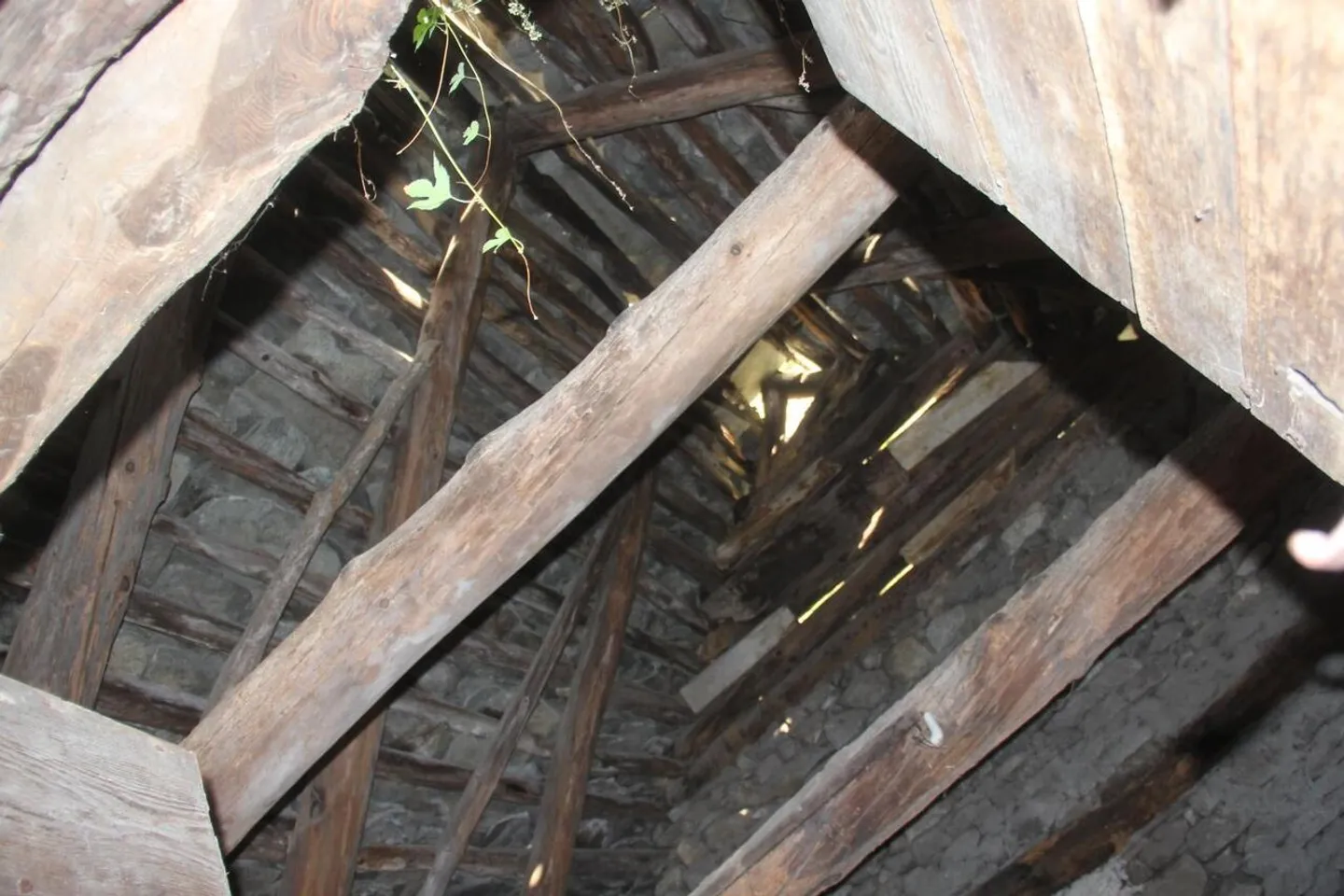 Charmantes Rustico mit Ausbaupotential - Foto 2 von 13