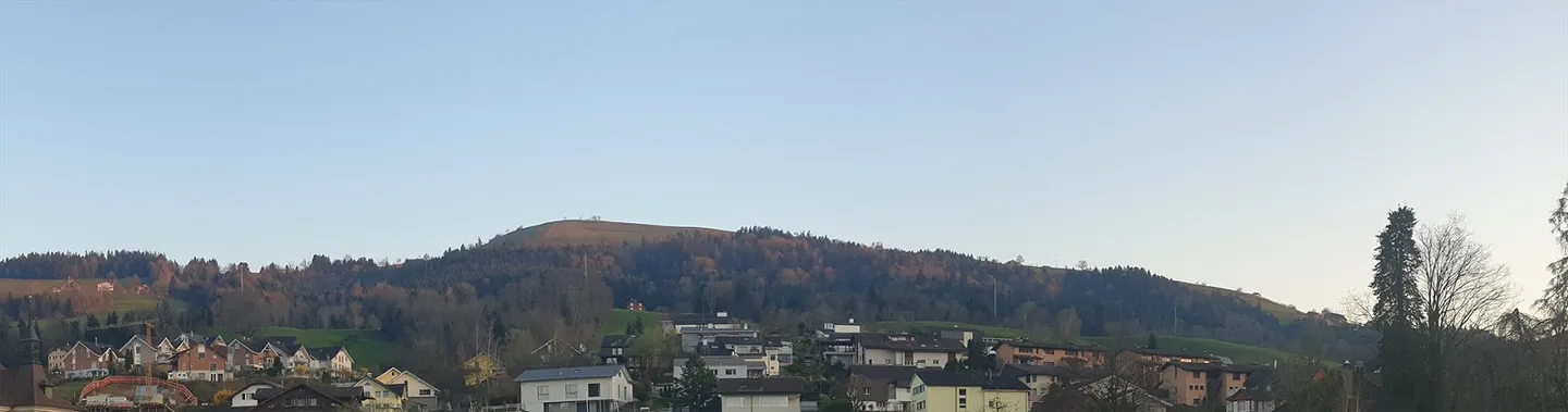 Cozy attic apartment in the center of Malters - Photo 1 of 11