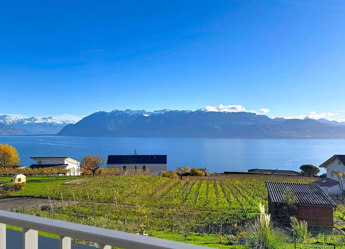 Grandvaux! Spektakuläre Aussicht auf den See! - Foto 4 von 11