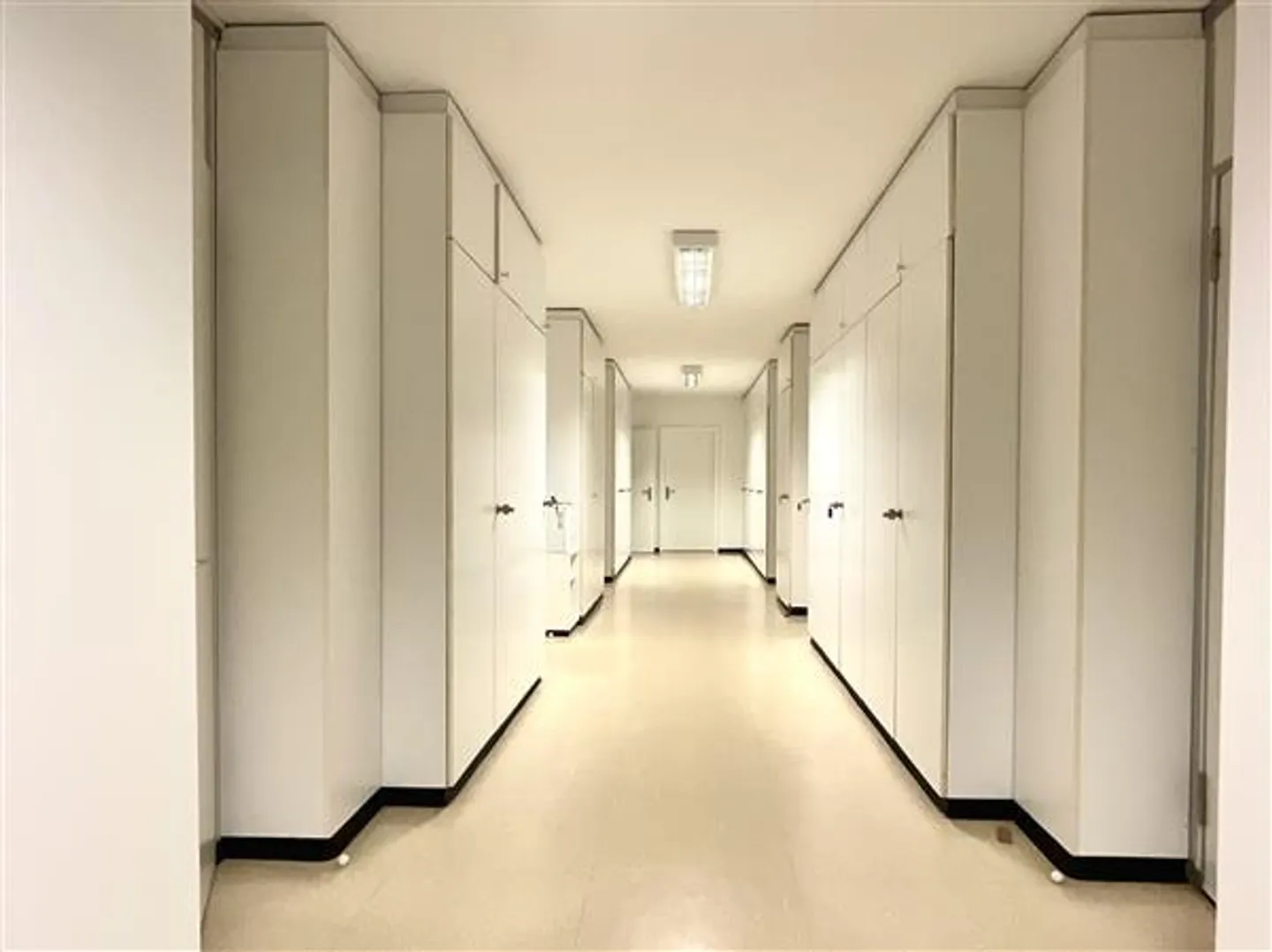 Viganello: Office with 8 Rooms - Photo 4 of 9