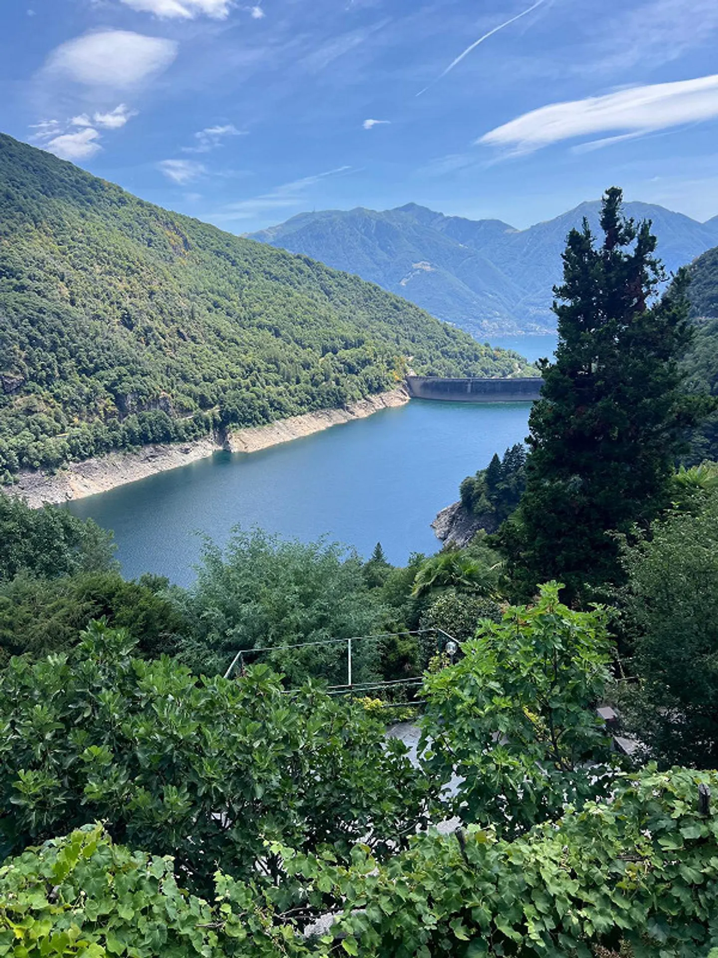 Parcelle de bois à Mergoscia - Photo 1 sur 2