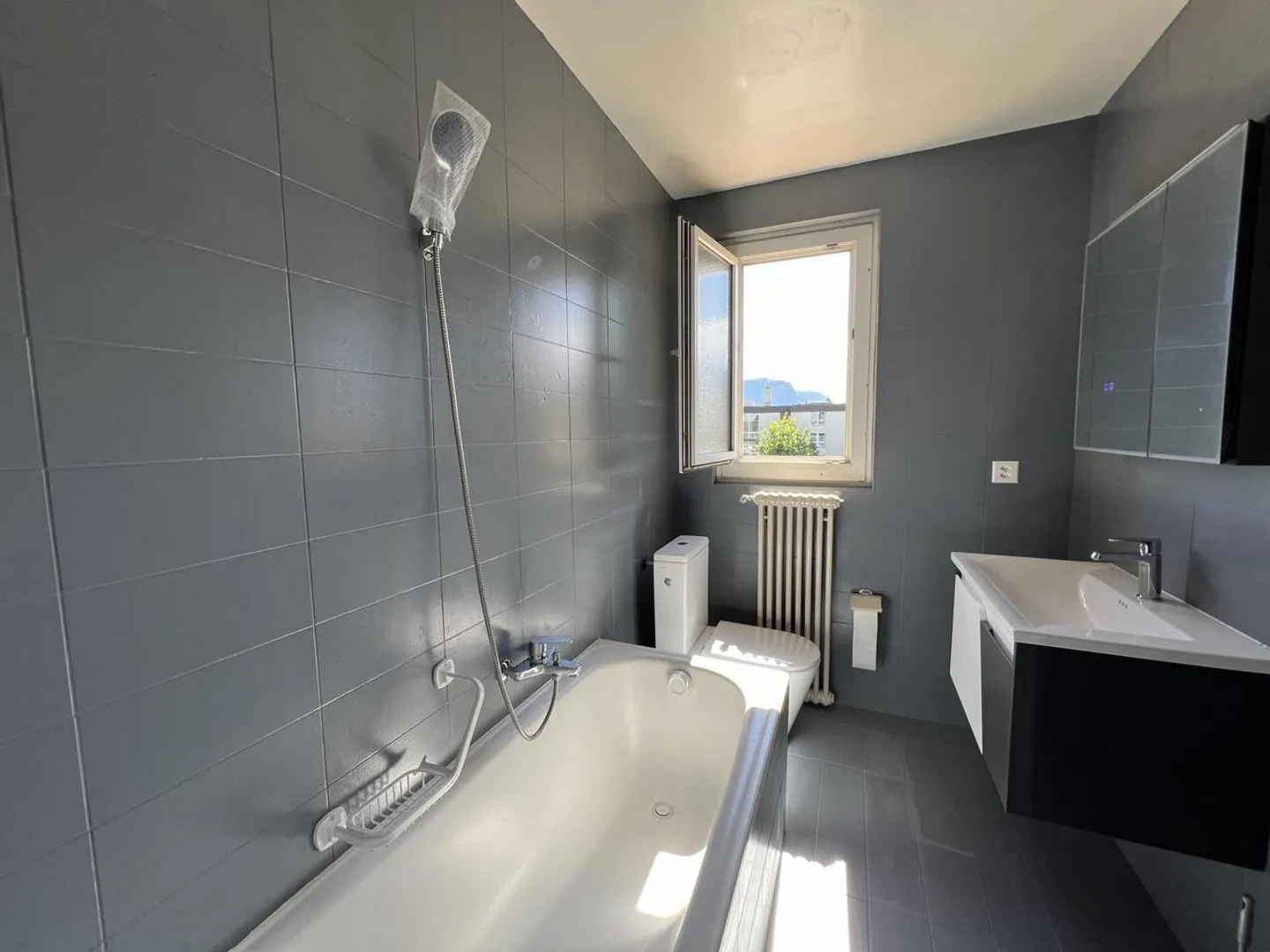 Bright apartment with exceptional panorama of the lake and the Alps - Photo 5 of 8