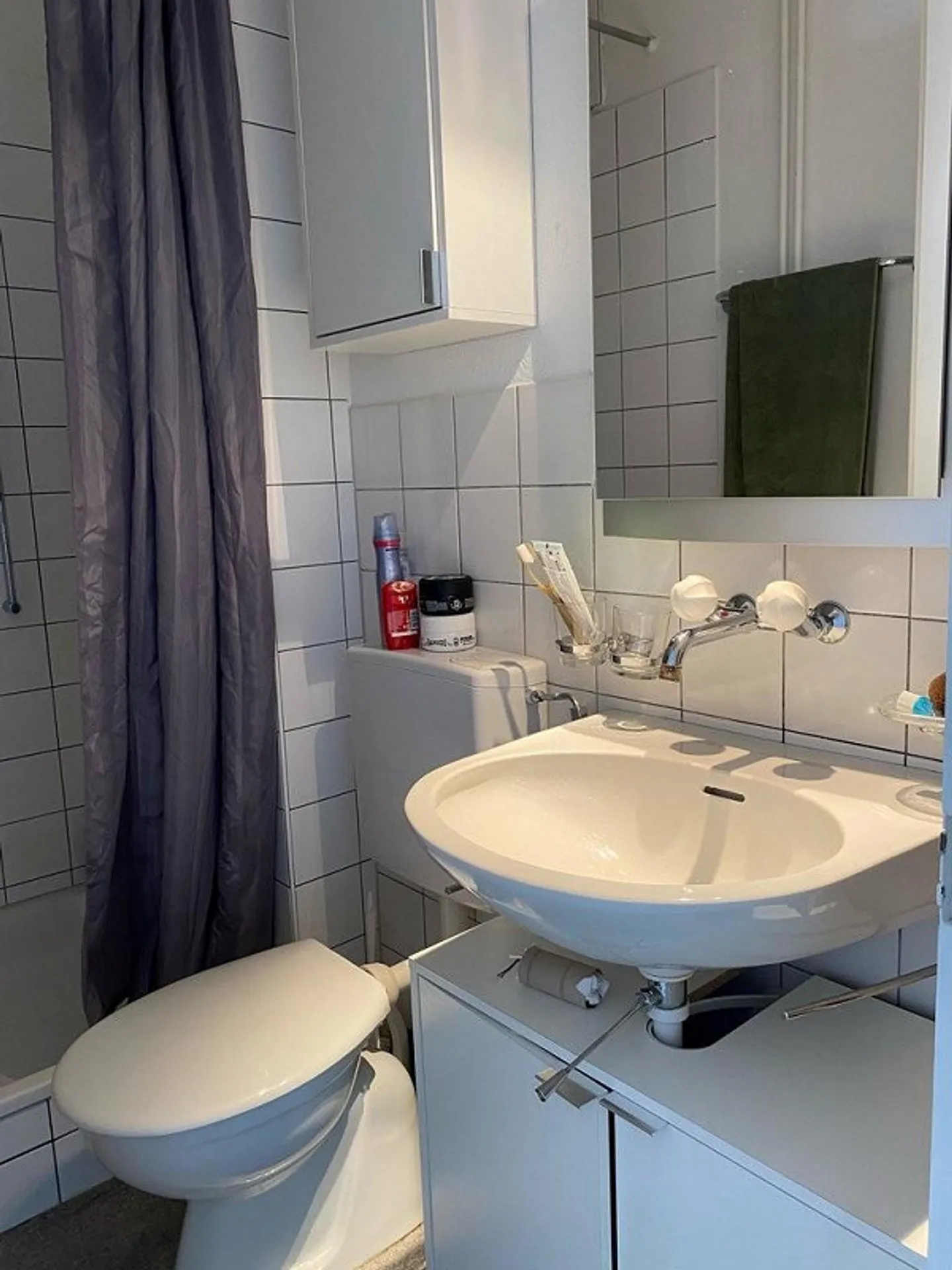 Appartamento 2 camere con vista su Ostermundigen - Foto 5 di 7