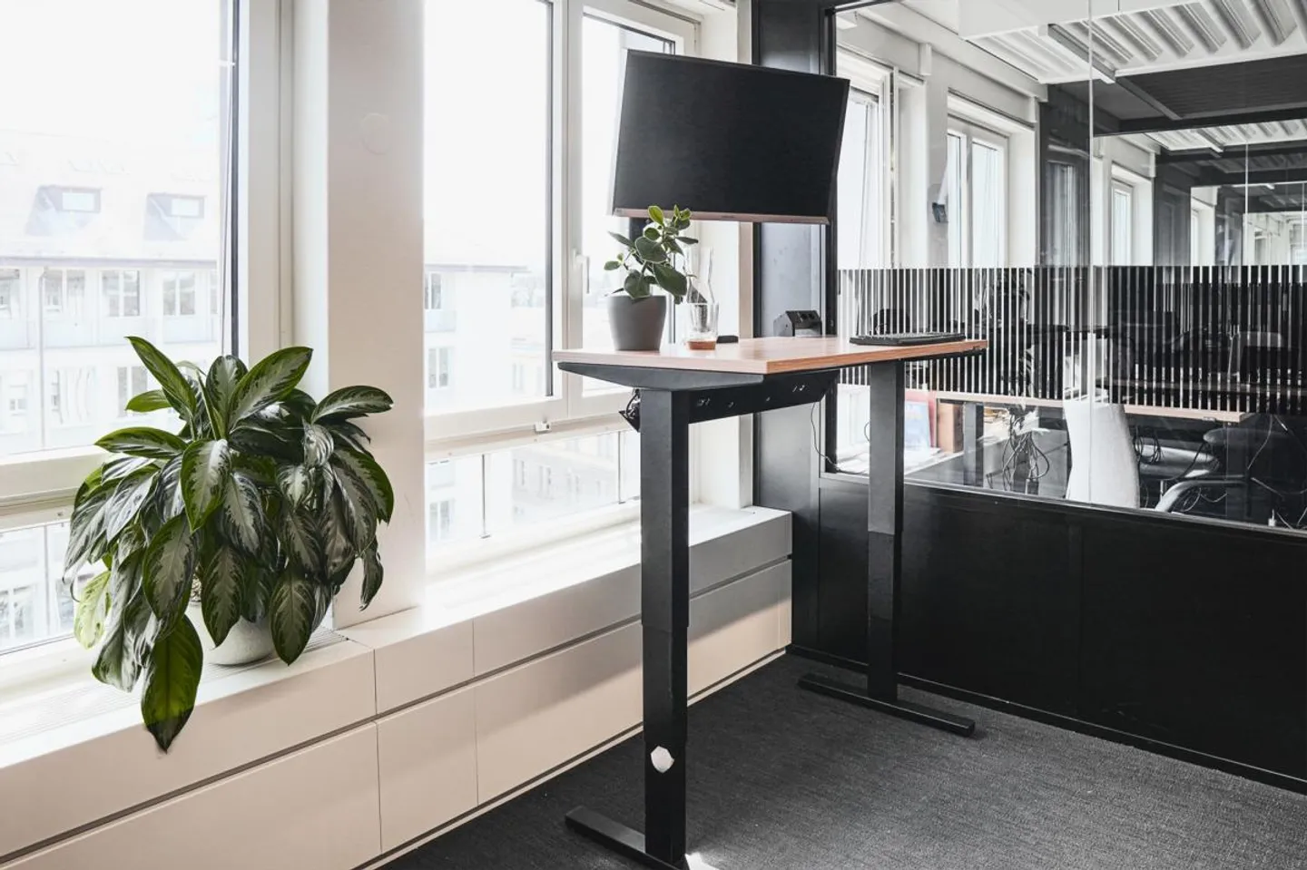 Helles Büro im Zürcher Zentrum - Foto 3 von 6