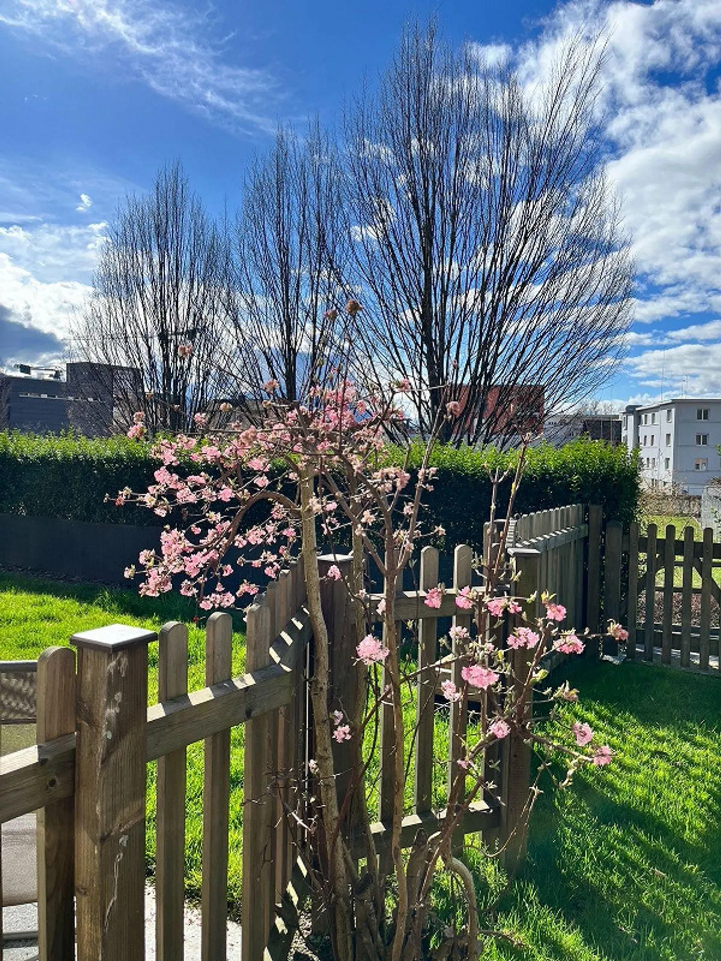 3,5 pièces standard de propriété - Photo 11 sur 24