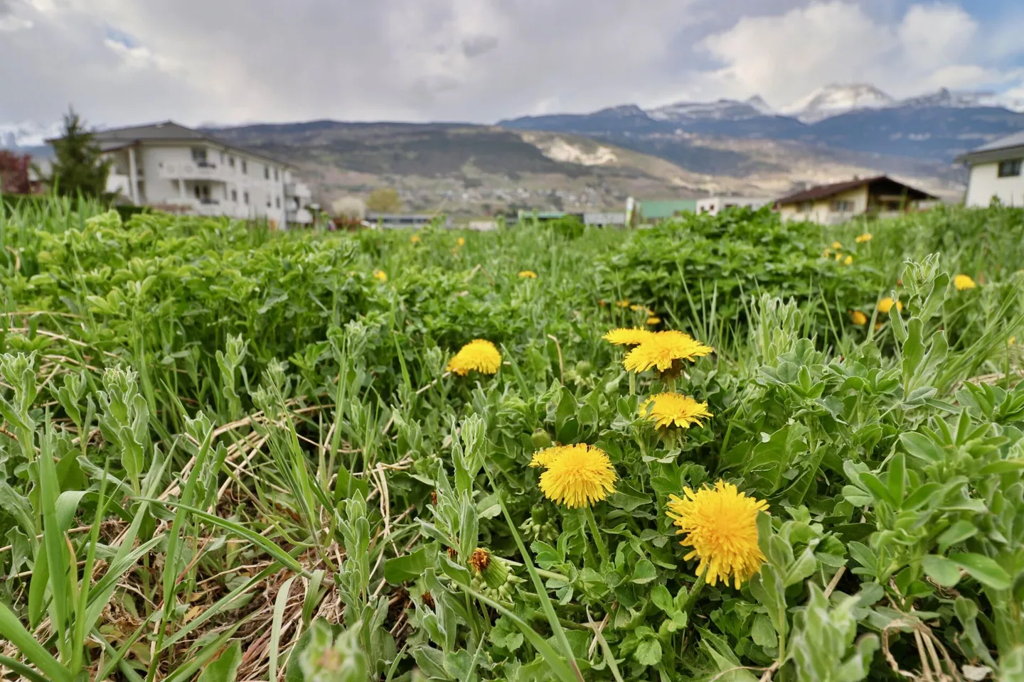 Chalais - Quartiere residenziale "Bord du Canal" - Villa indipendente A - Foto 15 di 19