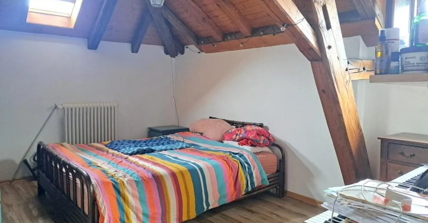 Appartement Charmant à Echallens - Photo 3 sur 5