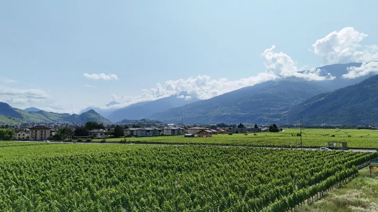 La tua villa a Vétroz: Diventa proprietario della tua villa individuale a Vétroz a partire da CHF 768.- al mese* - Foto 4 di 9