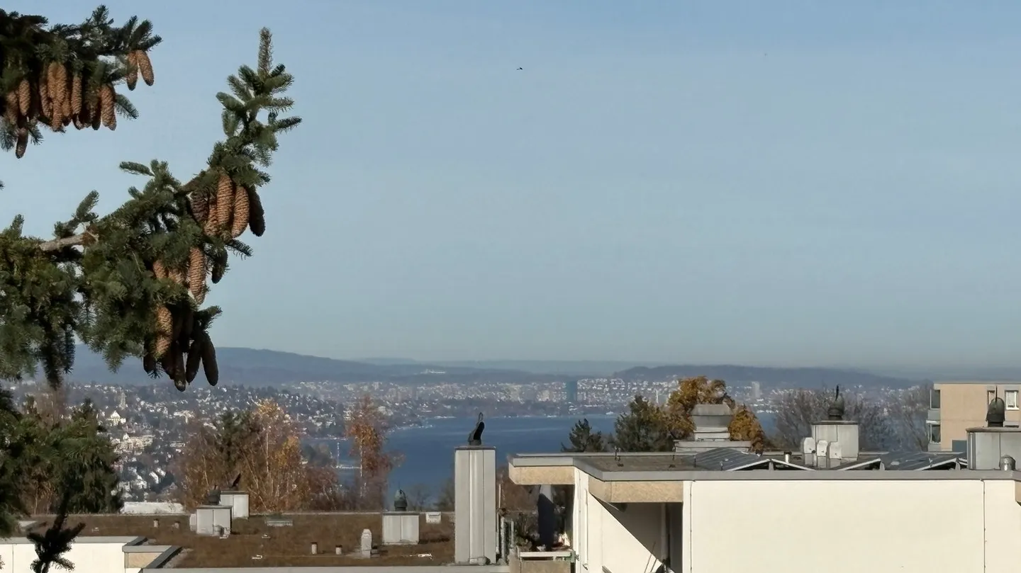 Attico spazioso con vista e potenziale - Foto 8 di 9