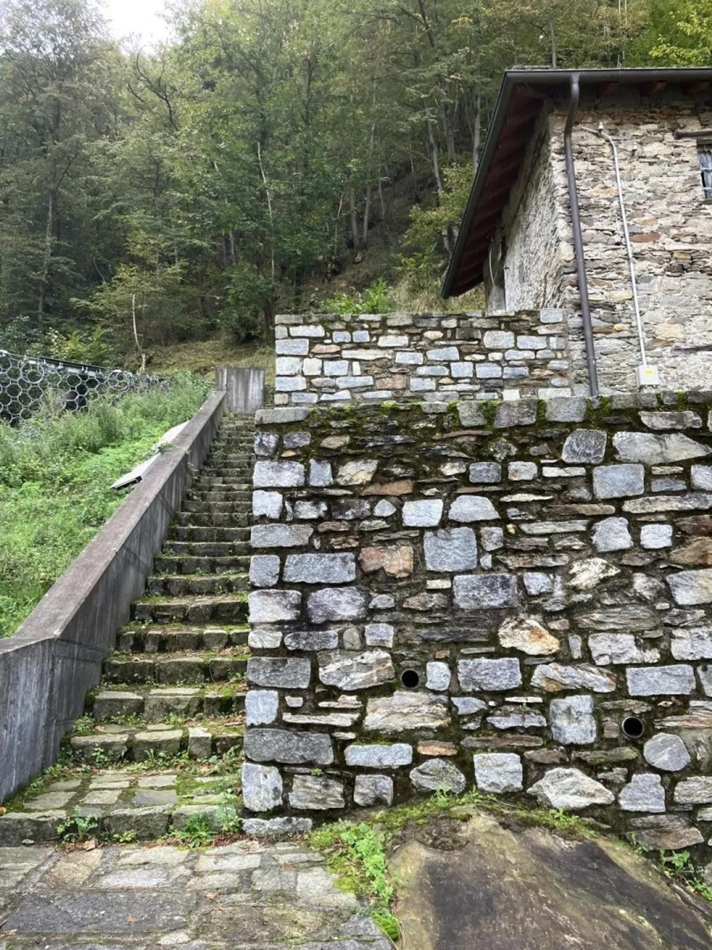 Incantevole capanna nel bosco a Giubiasco - Foto 5 di 10