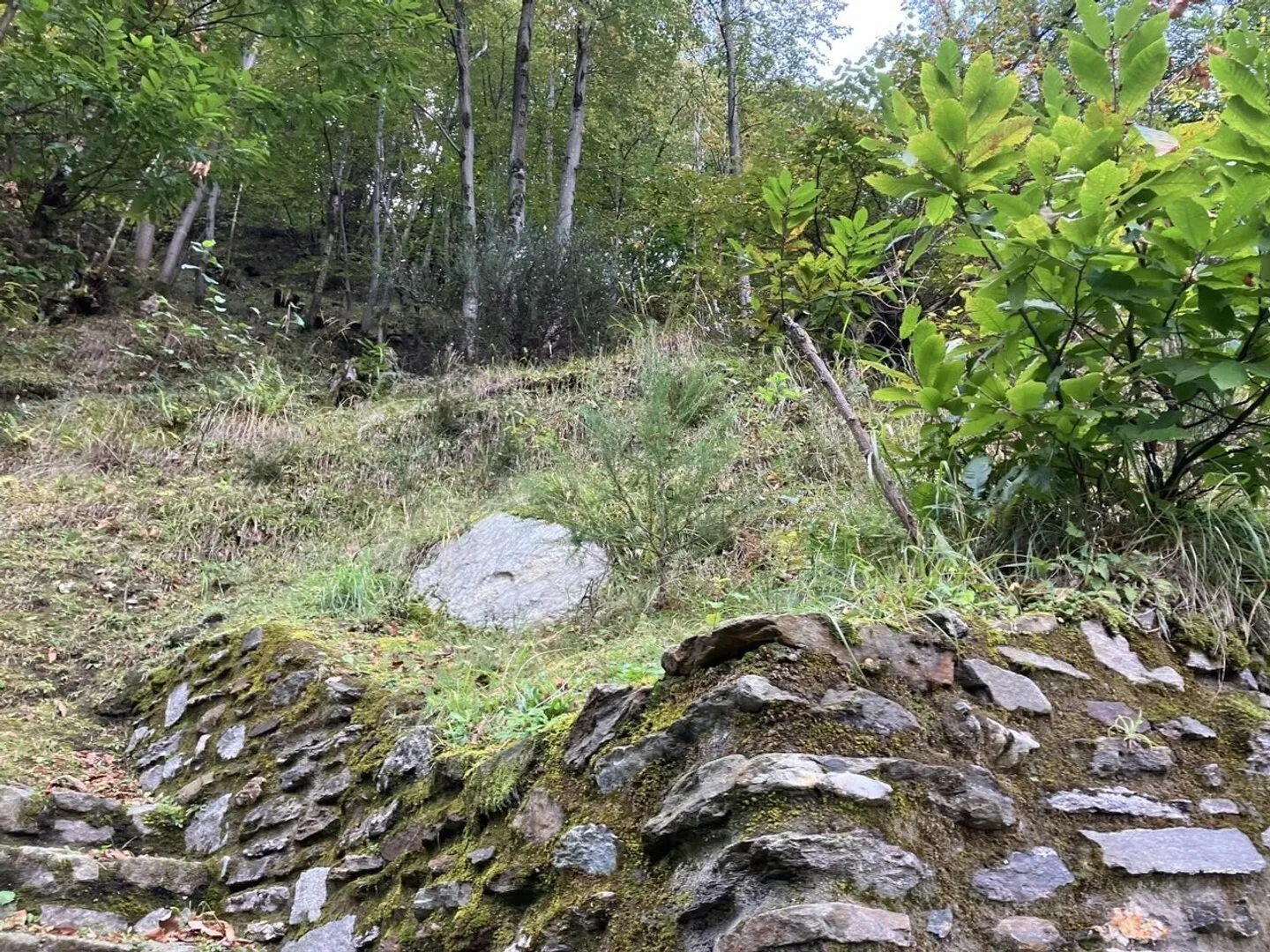 Incantevole capanna nel bosco a Giubiasco - Foto 6 di 10