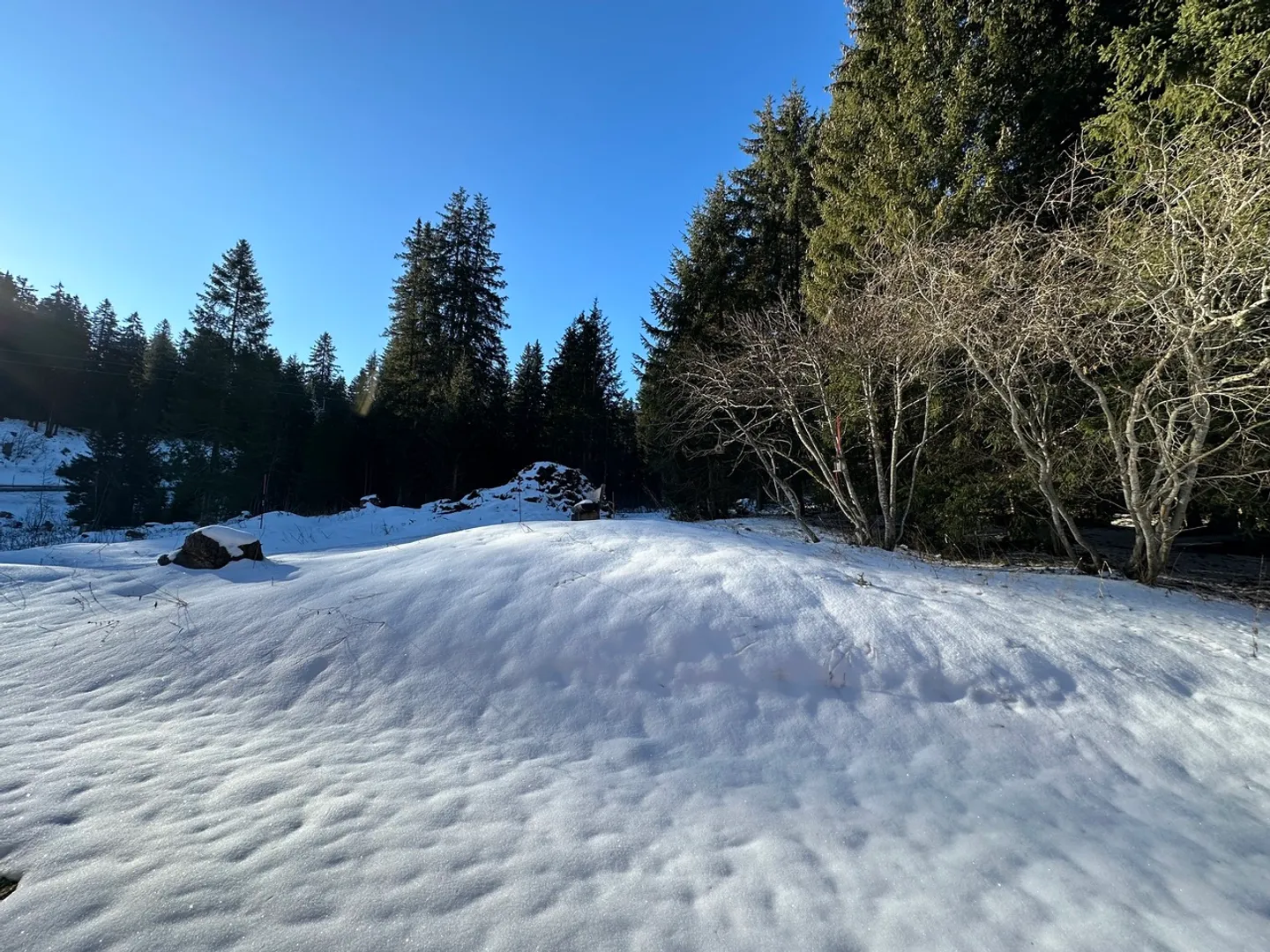 Direttamente sulla pista: appartamento di 4½ stanze con terrazza a Parpan - Foto 24 di 24