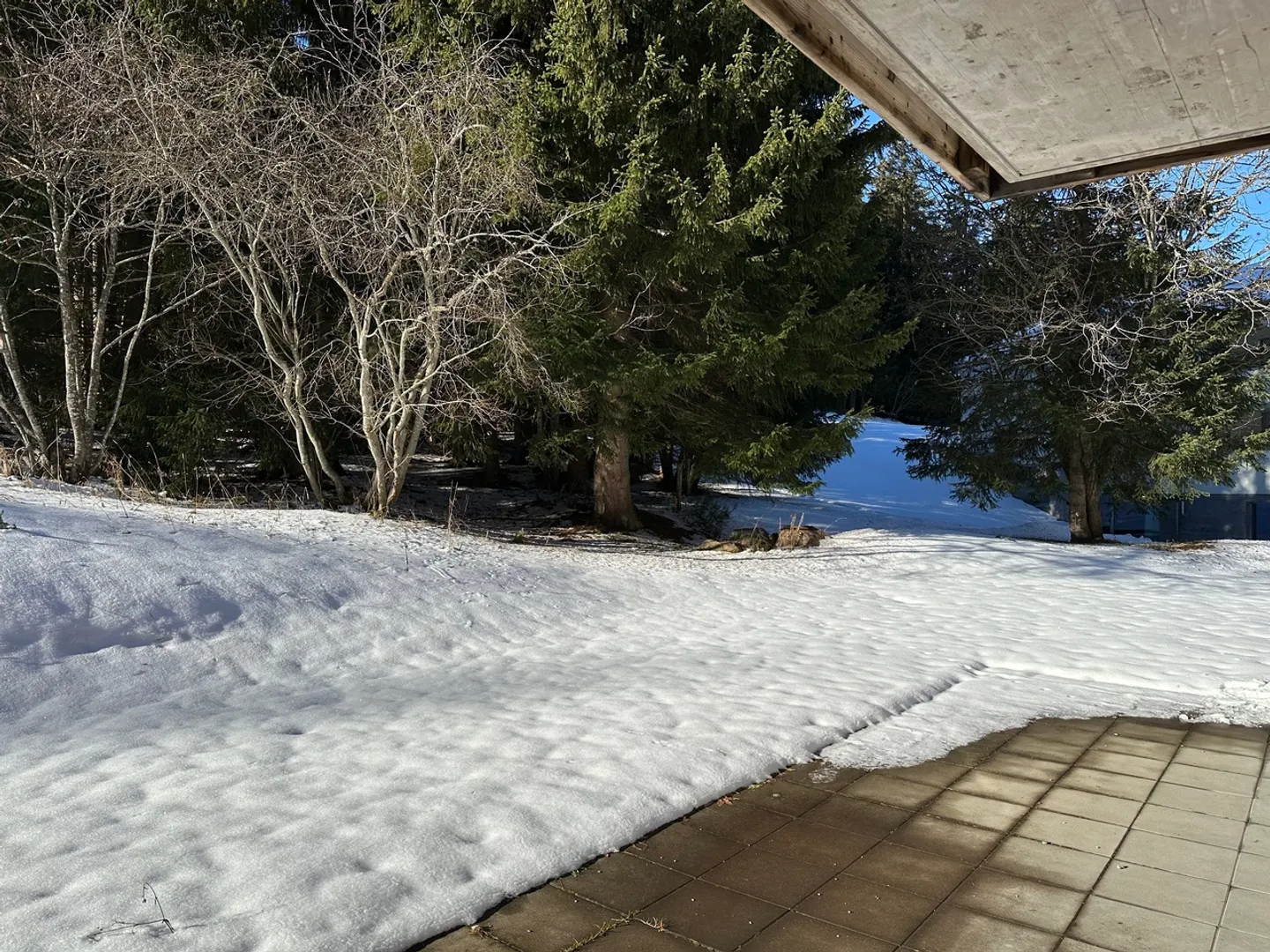 Direttamente sulla pista: appartamento di 4½ stanze con terrazza a Parpan - Foto 21 di 24