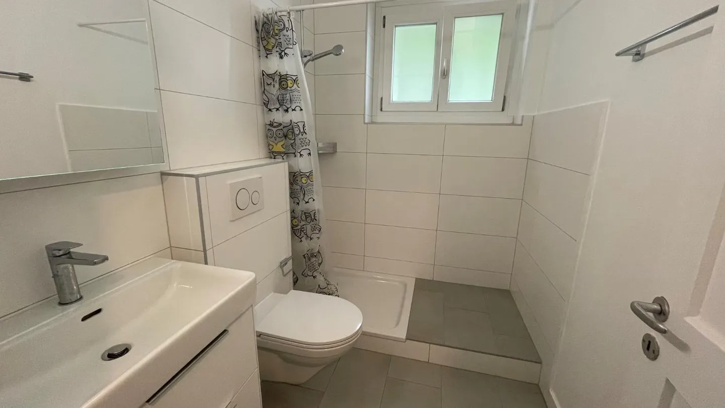 Appartamento 4.5 stanze - Foto 10 di 11