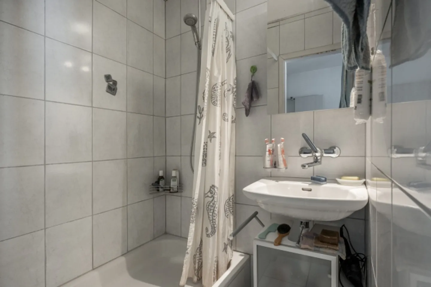 Living directly next to the Limmat Multi-Generational House with Potential - Photo 10 of 12