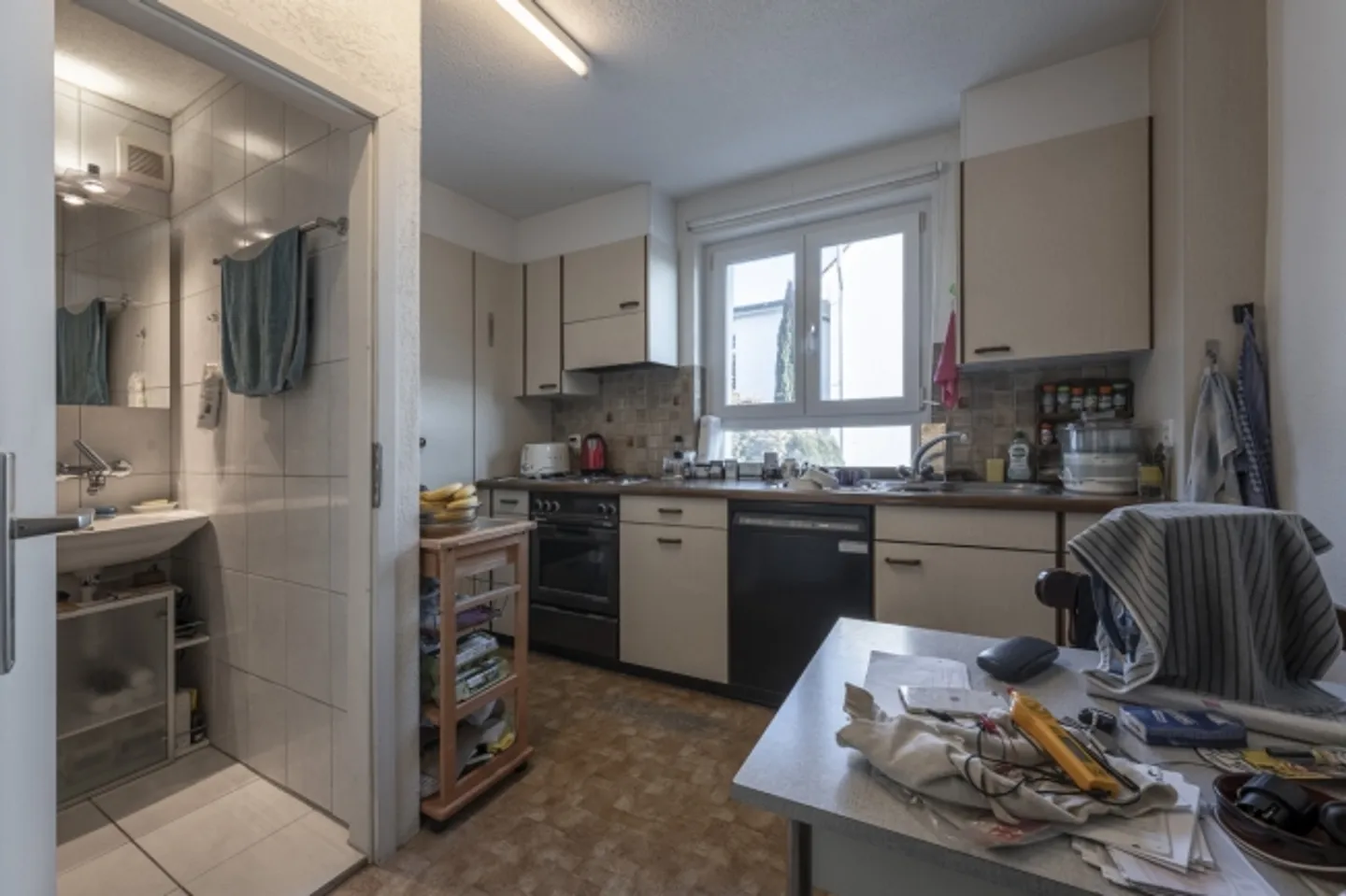 Living directly next to the Limmat Multi-Generational House with Potential - Photo 11 of 12