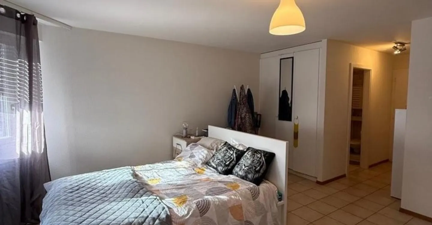 A saisir ! Splendide studio à deux pas du lac ! - Foto 3 di 5