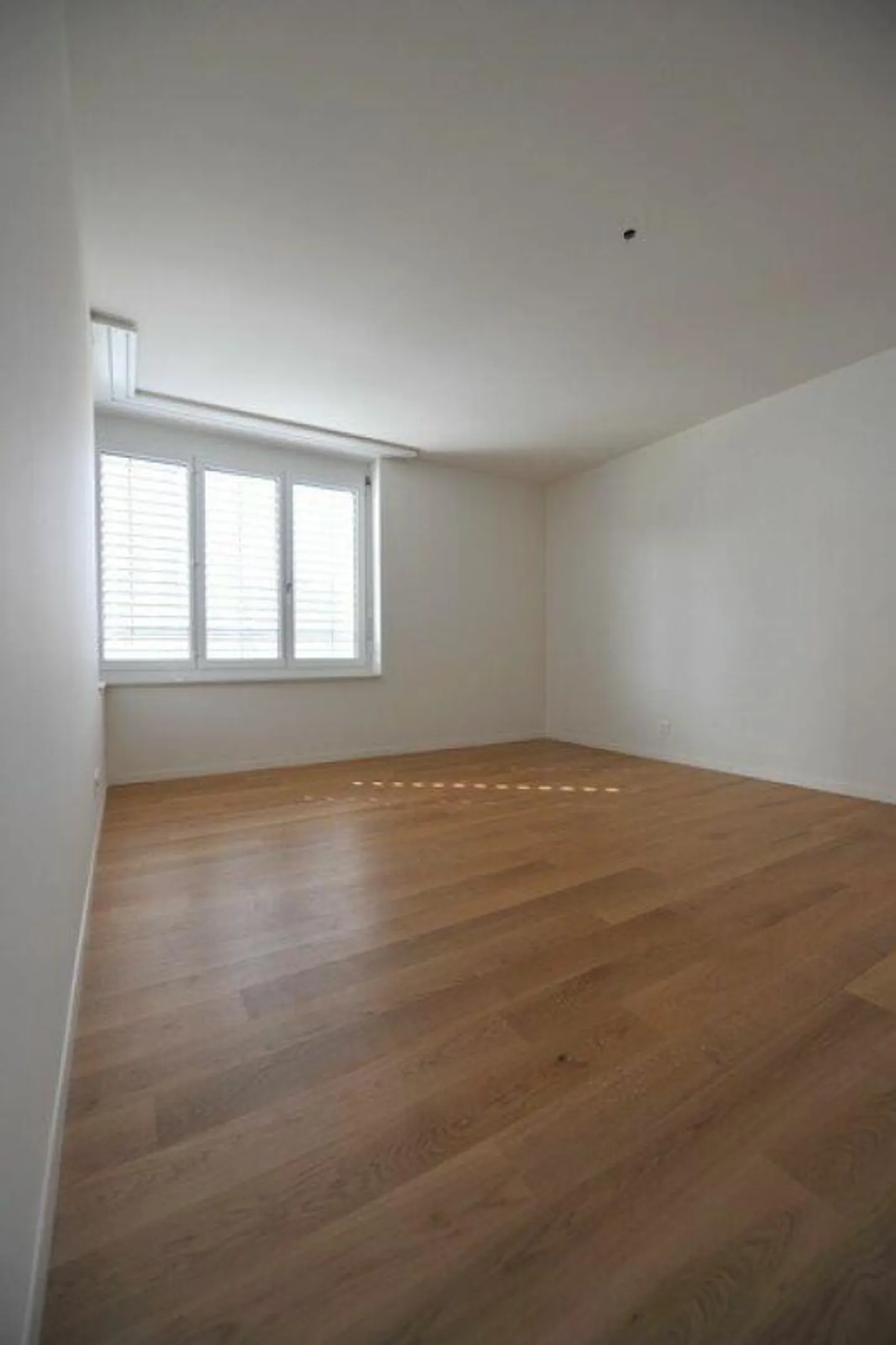 Geräumige 5.5-Zimmer Wohnung - Foto 8 von 13