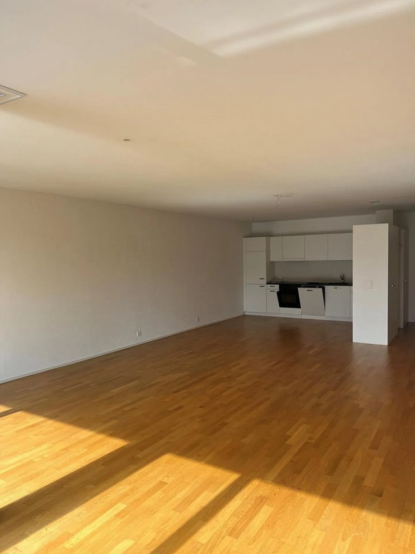 Ampio e bellissimo appartamento di 2,5 stanze in affitto - Foto 6 di 9