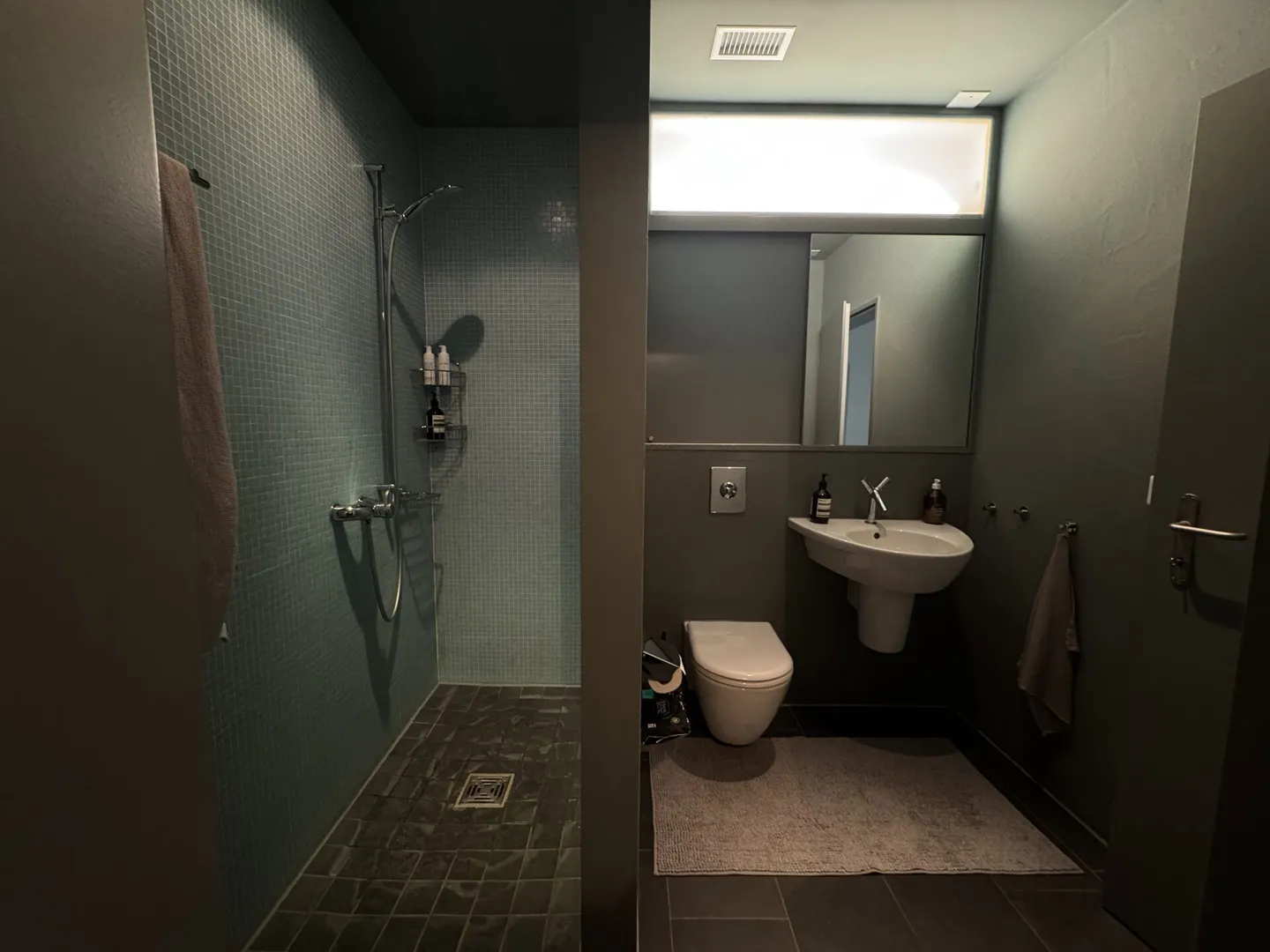 Ampio appartamento con terrazza di 4,5 stanze con vista panoramica sul Limmattal - Foto 7 di 15