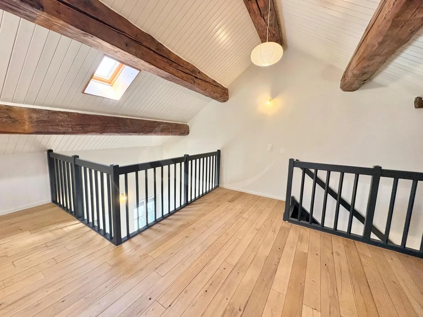 Elegante duplex loft nel cuore di Ginevra - a pochi passi dai Quais des Bergues - Foto 3 di 8